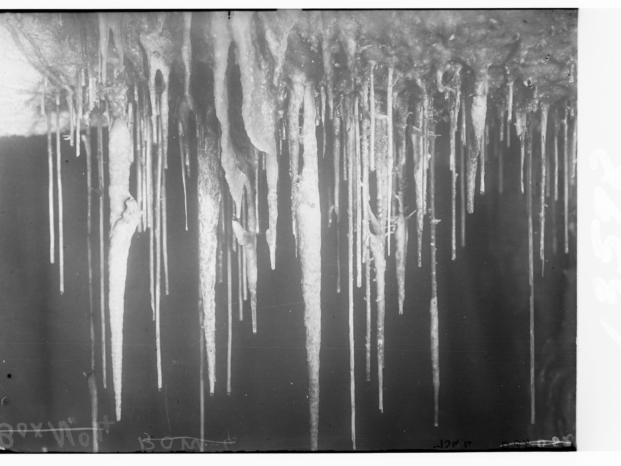 Stalagmites in Cave