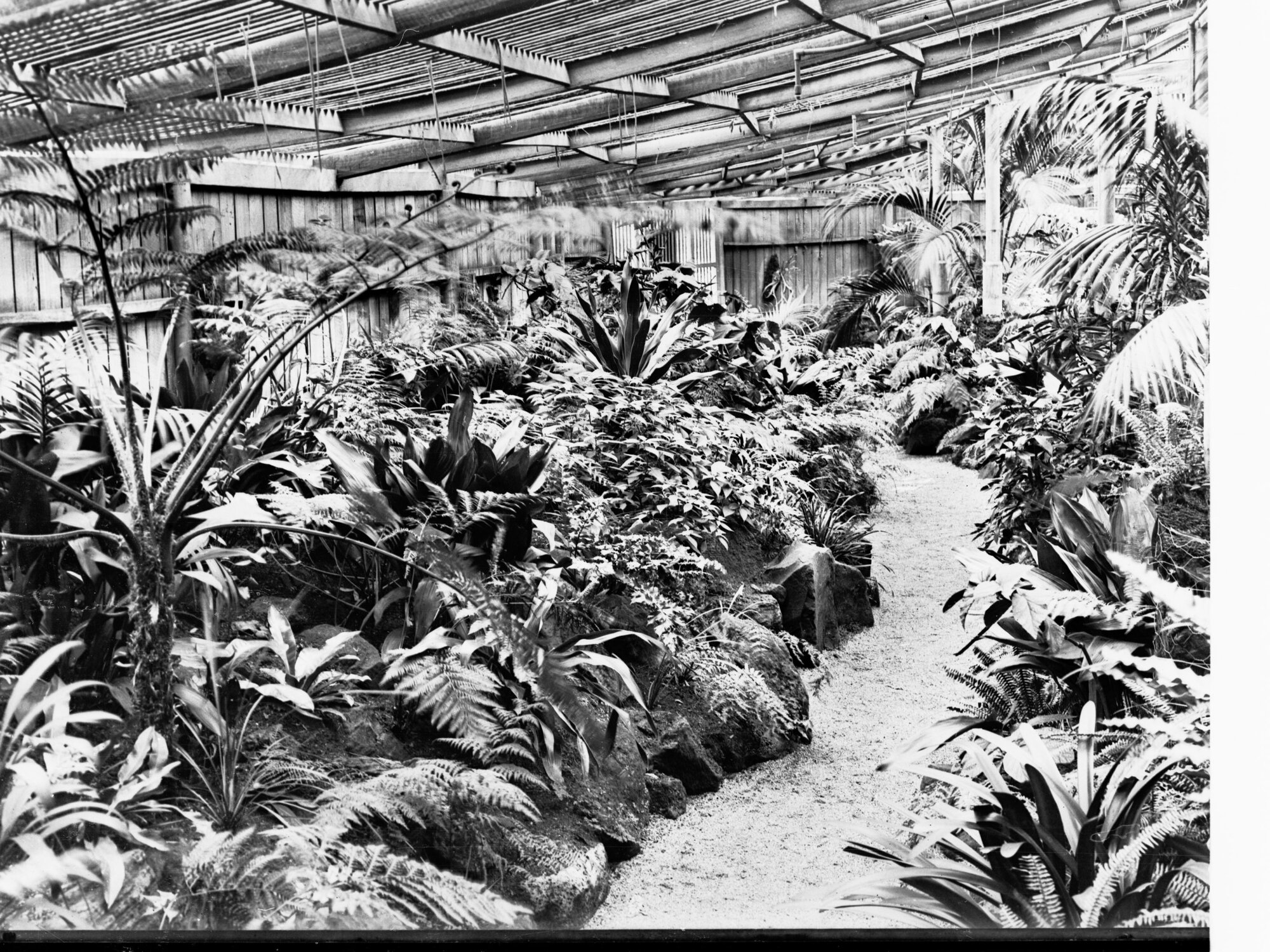 Simpson Shade House Botanic Gardens Adelaide