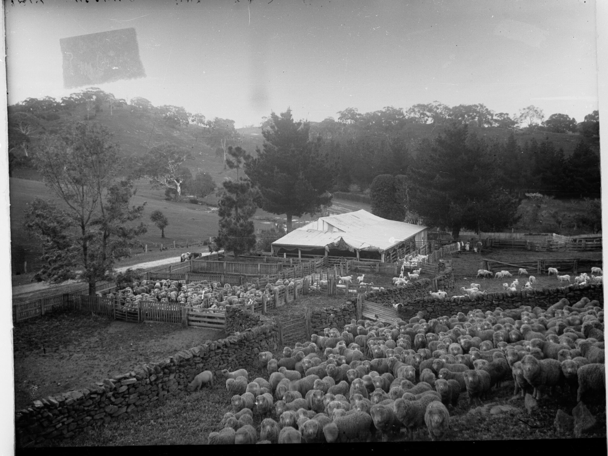 Sheep Station at Mount Beevor