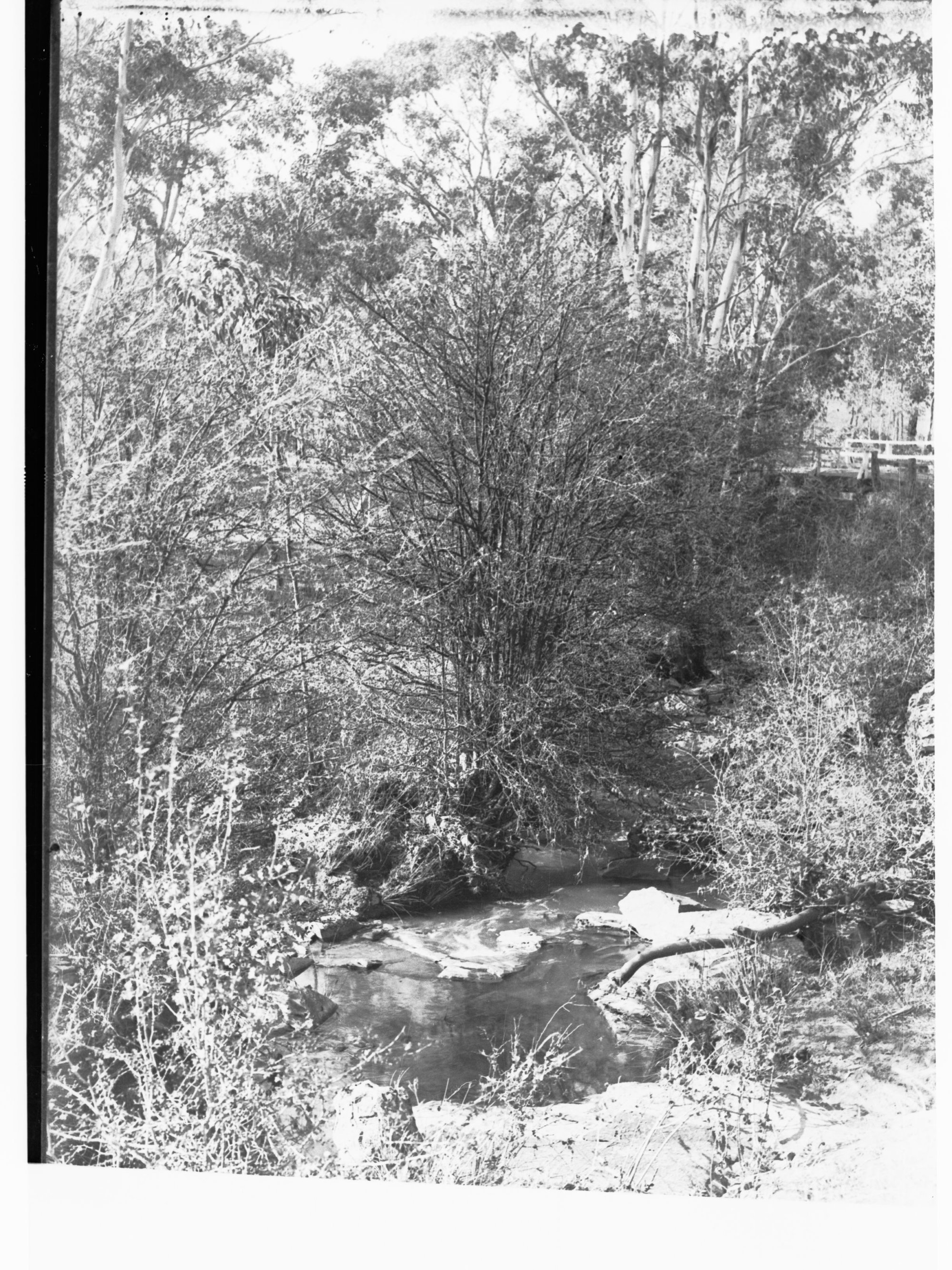 Graham's Creek, Clare