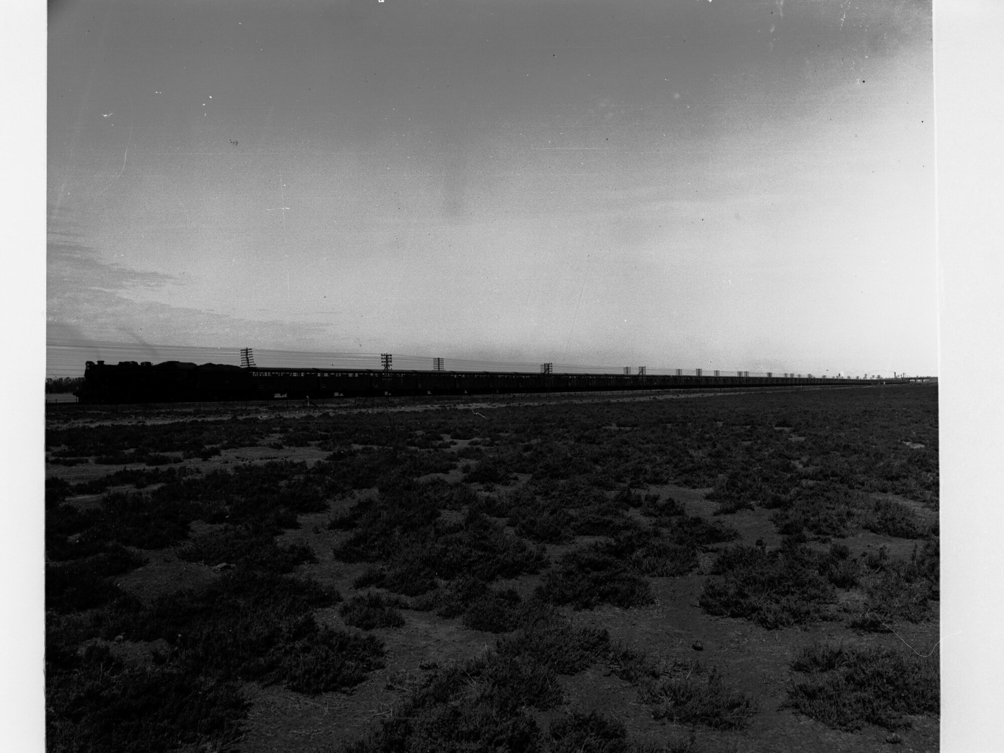 Stock Train at Dry Creek