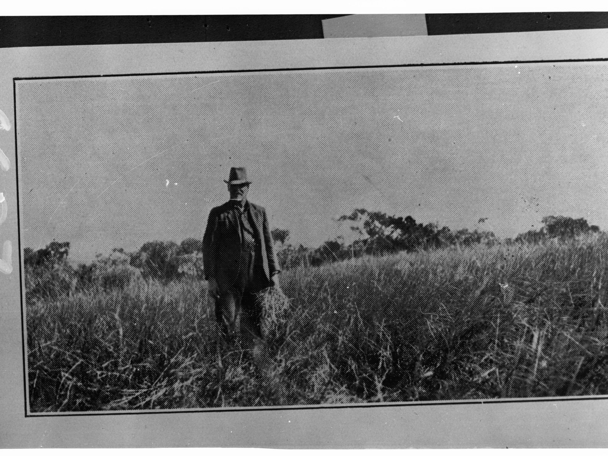 Man Standing in Thick Undergrowth