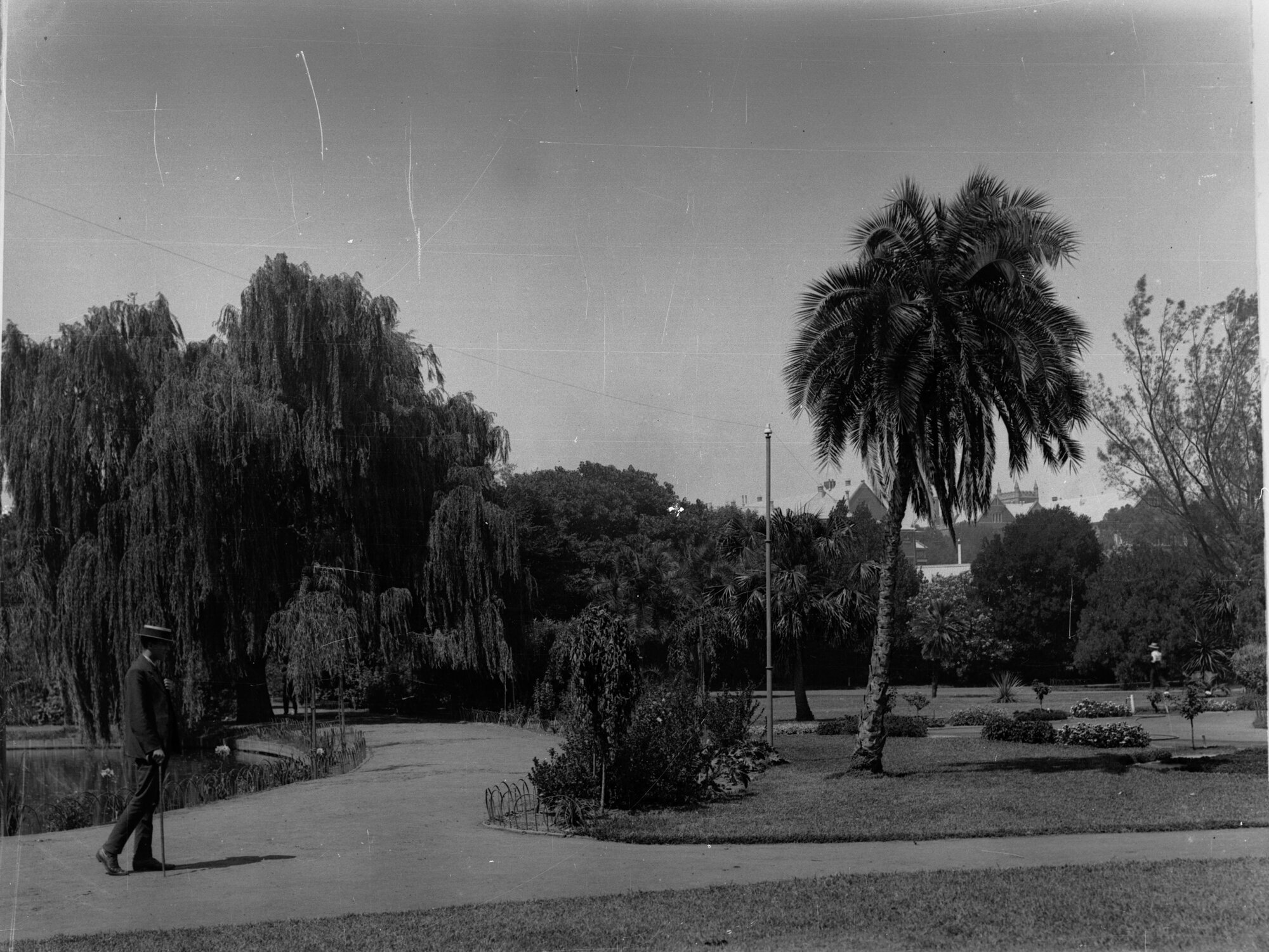 Botanic Gardens showing man strolling on the path