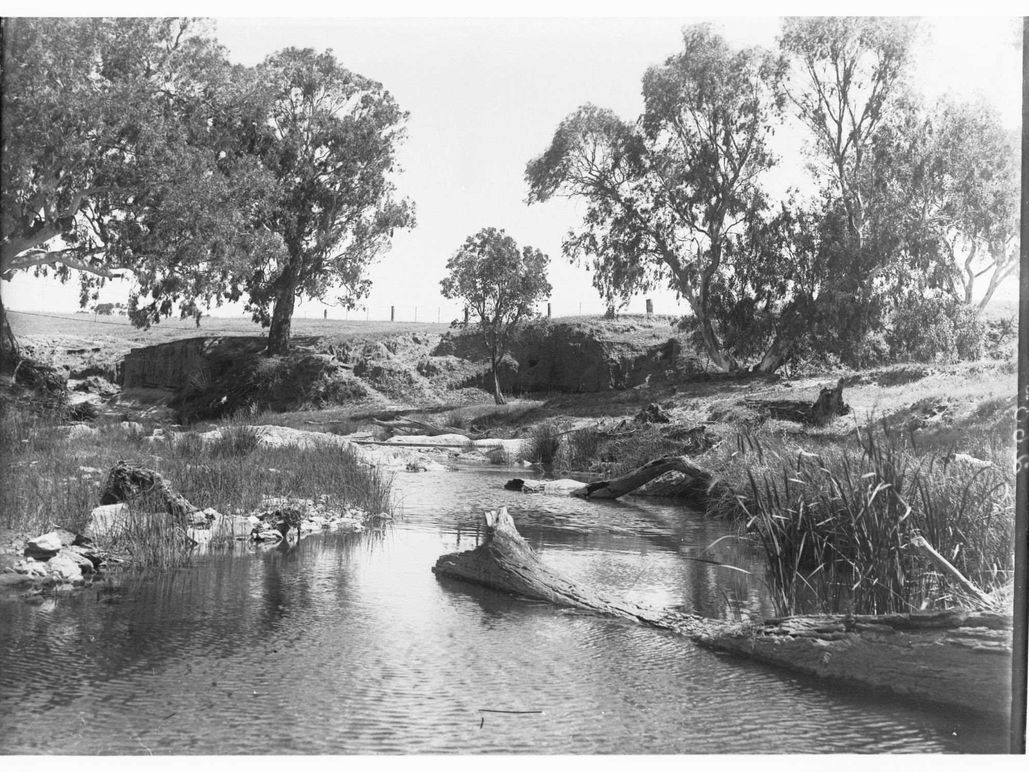 View of the Para River