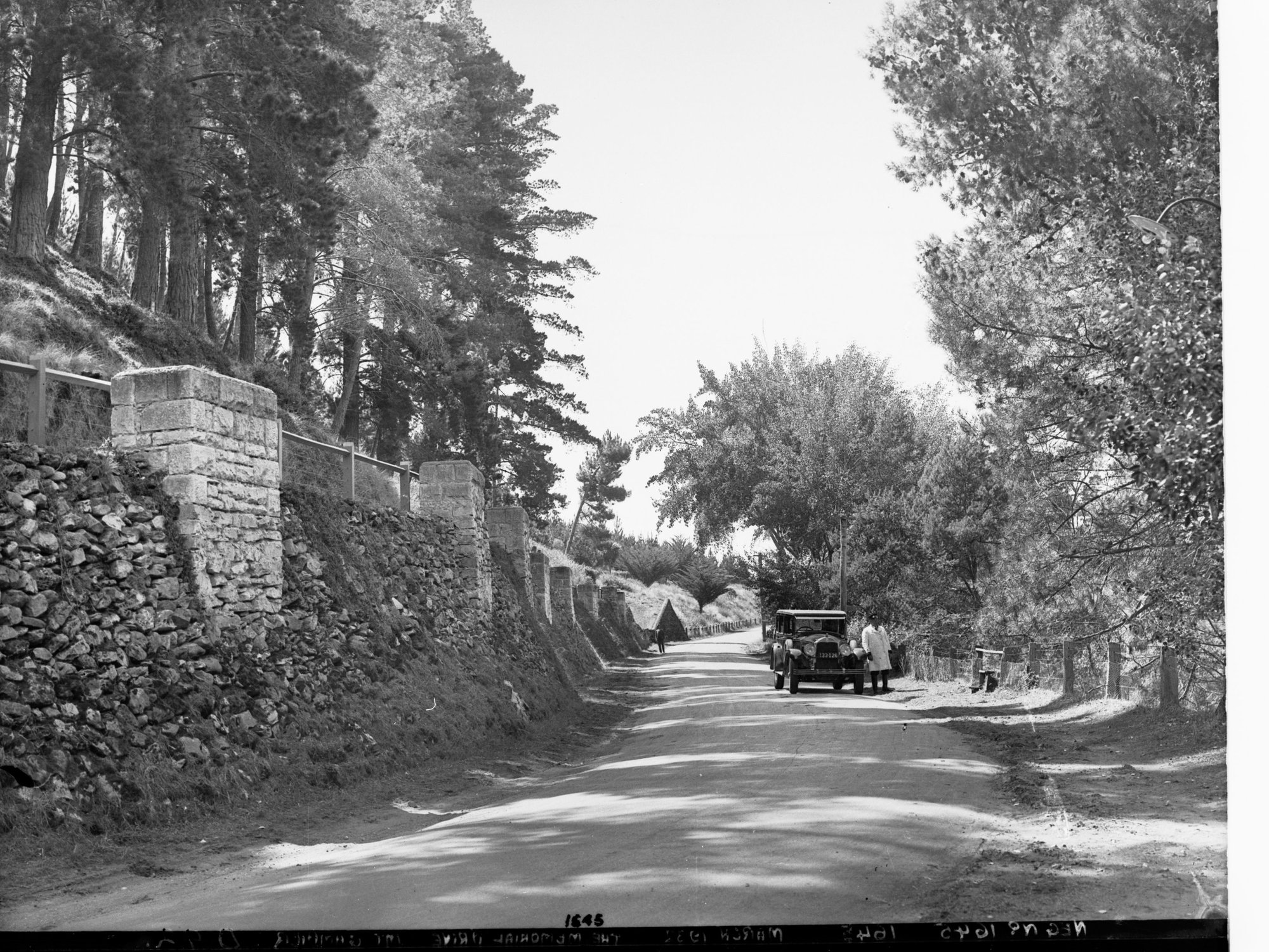 Memorial Drive Mount Gambier