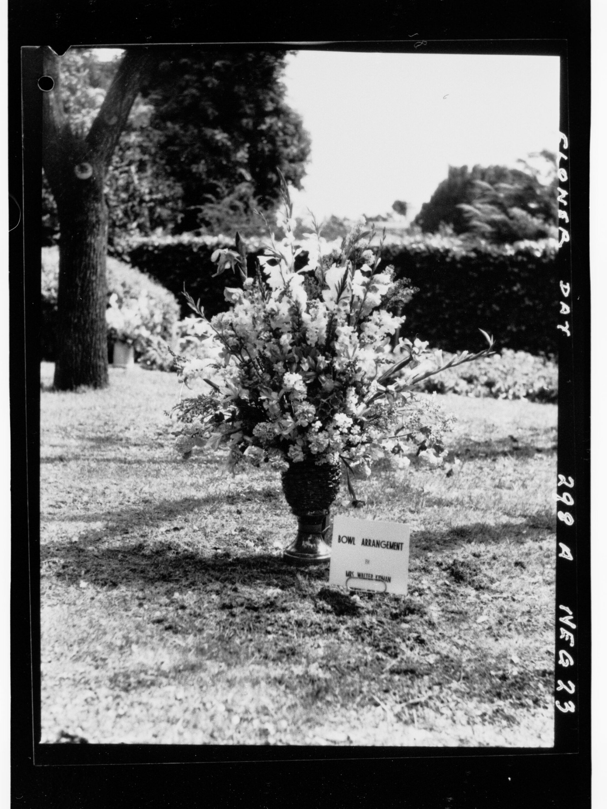 Flower Day - bowl arrangement by Mrs Walter Leman