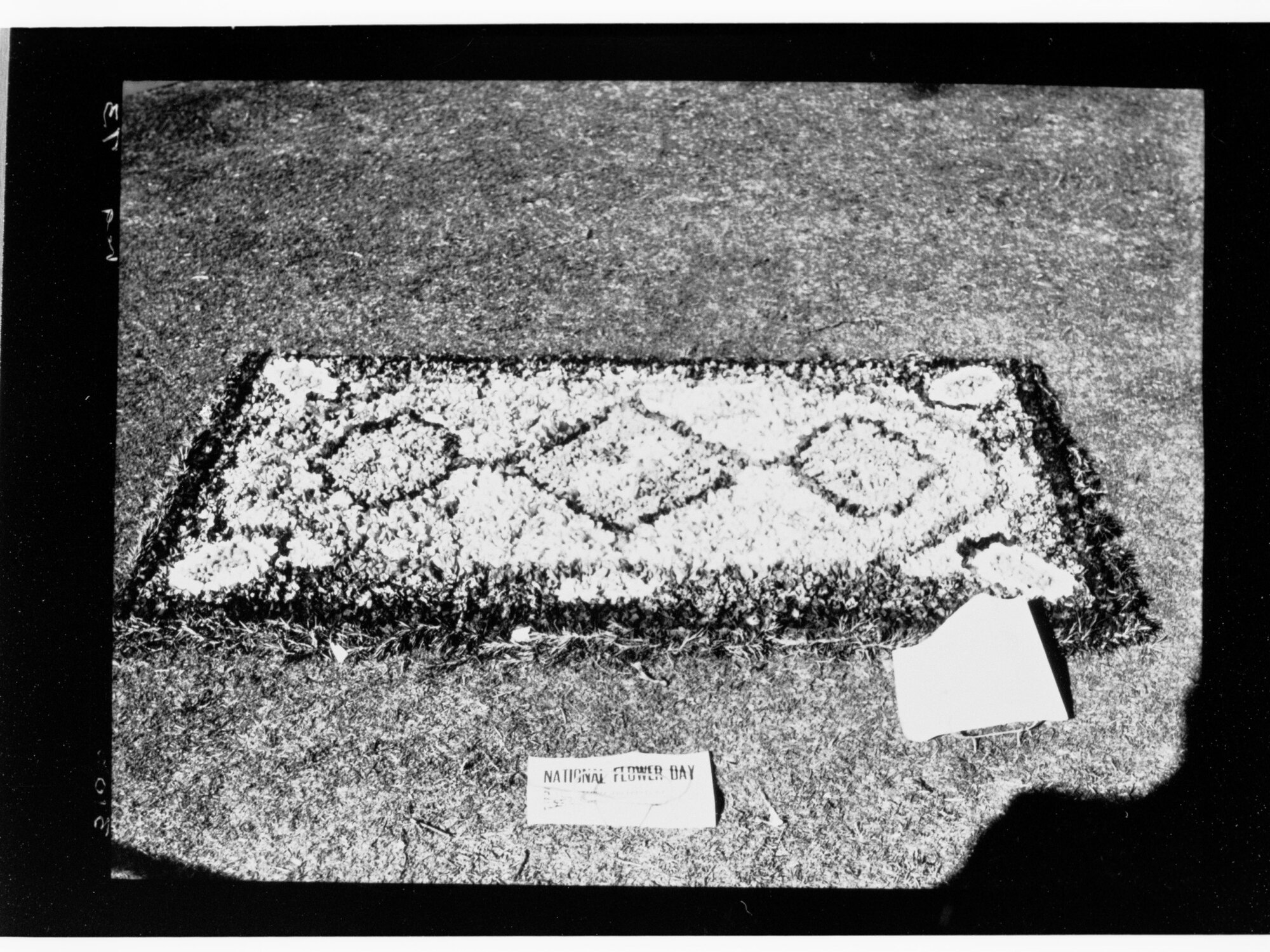 National Flower Day Festival held in Adelaide on the 21st September 1949