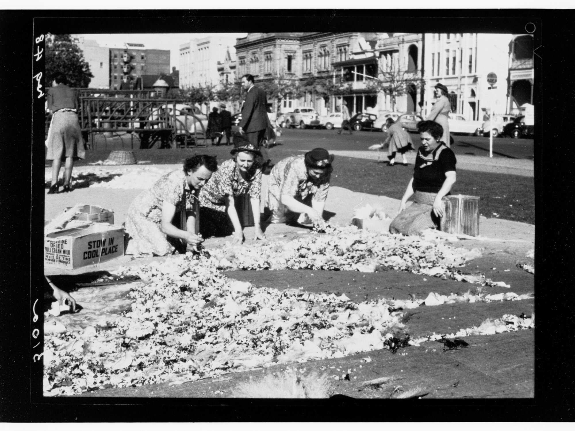 National Flower Day Festival