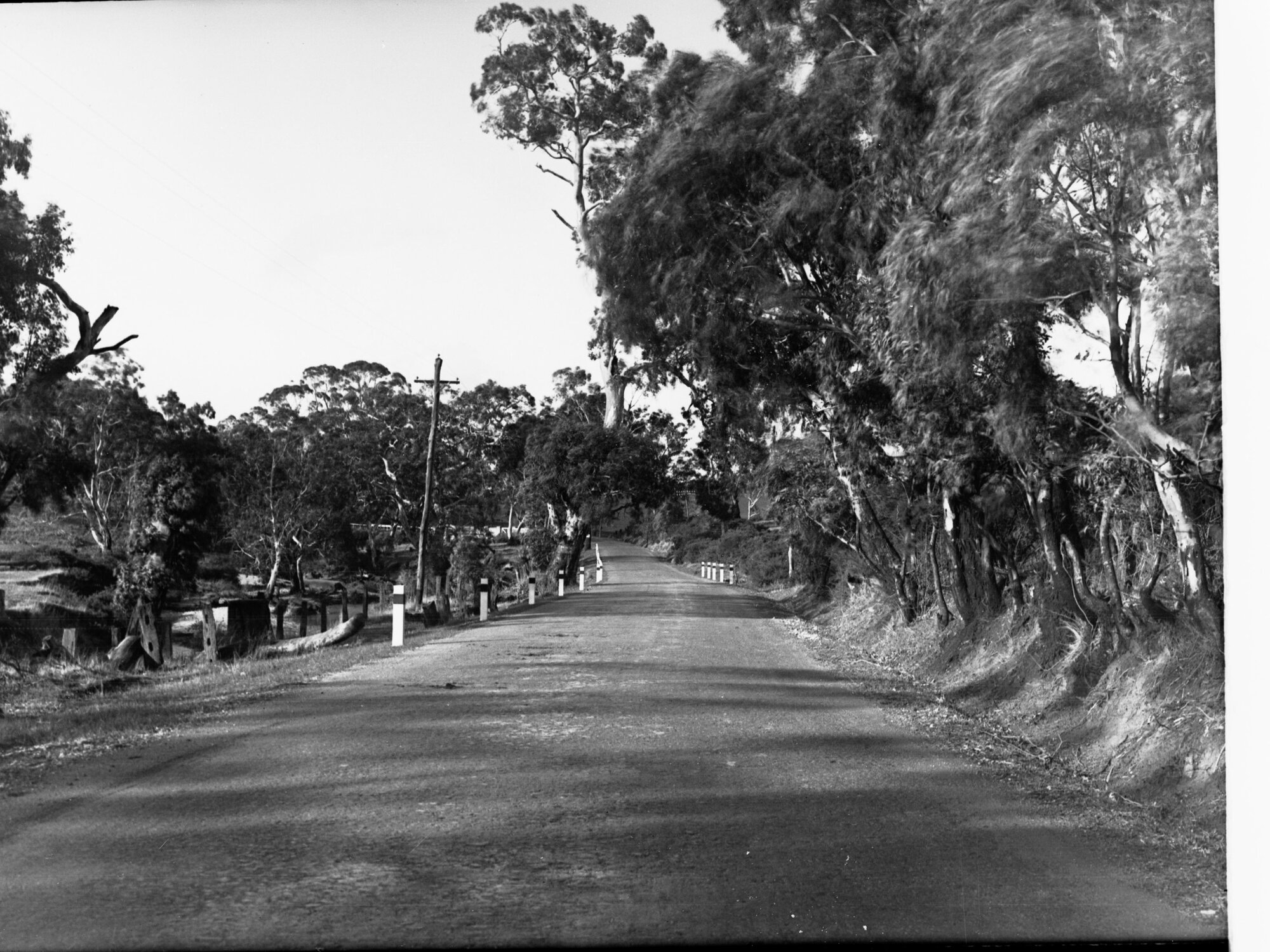 Road near Birdwood