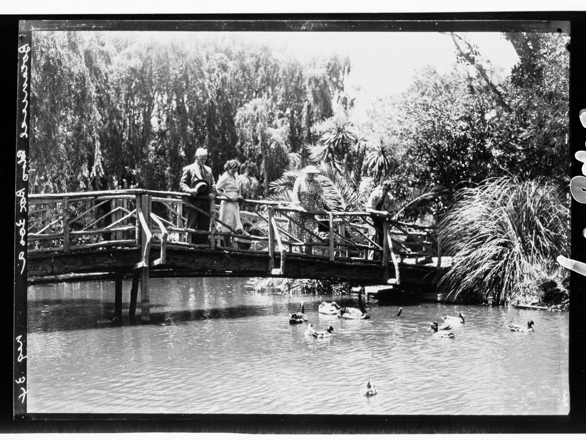 Botanical Gardens - people standing on bridge