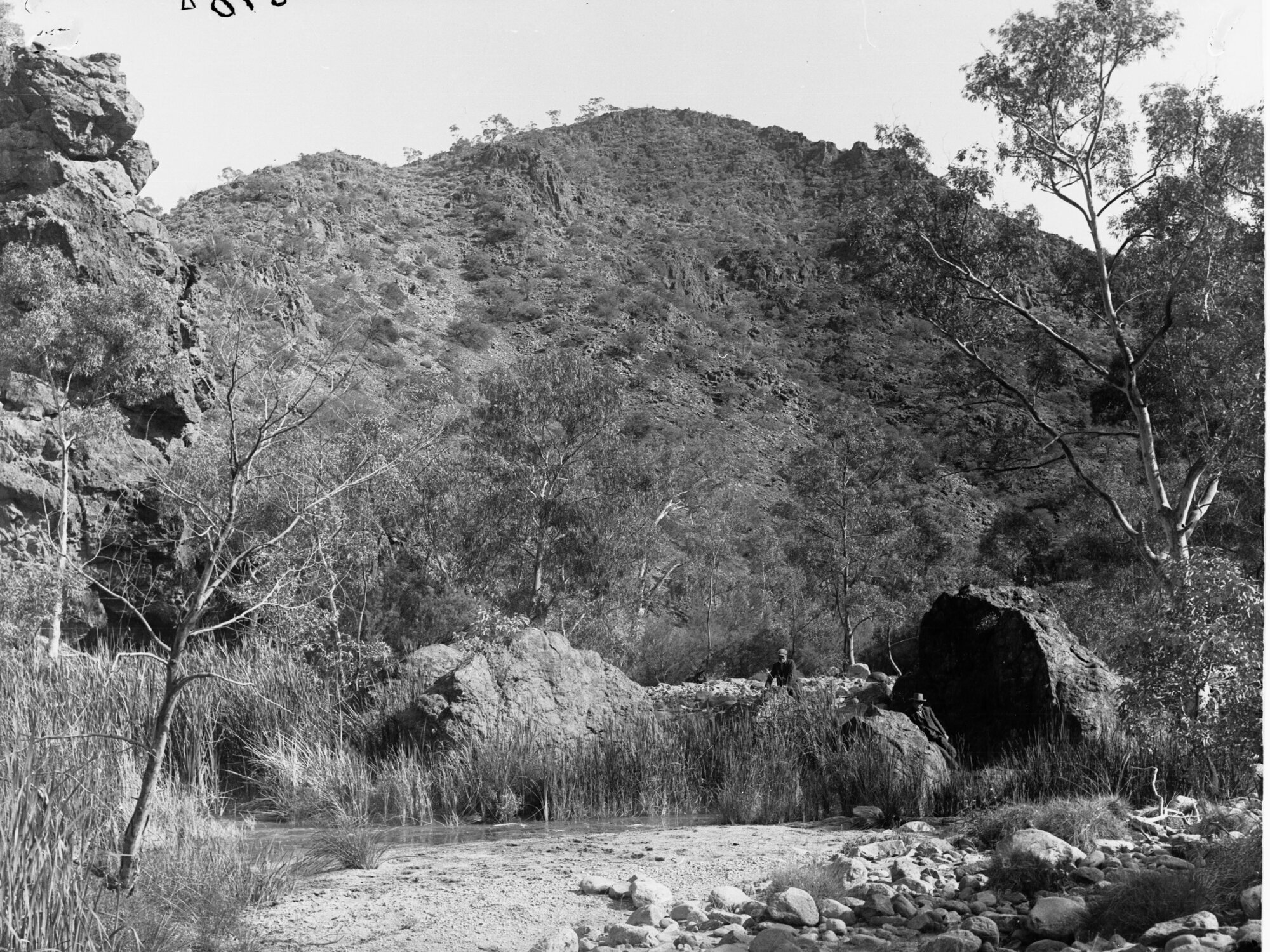 Creek and Hill, Flinders Ranges