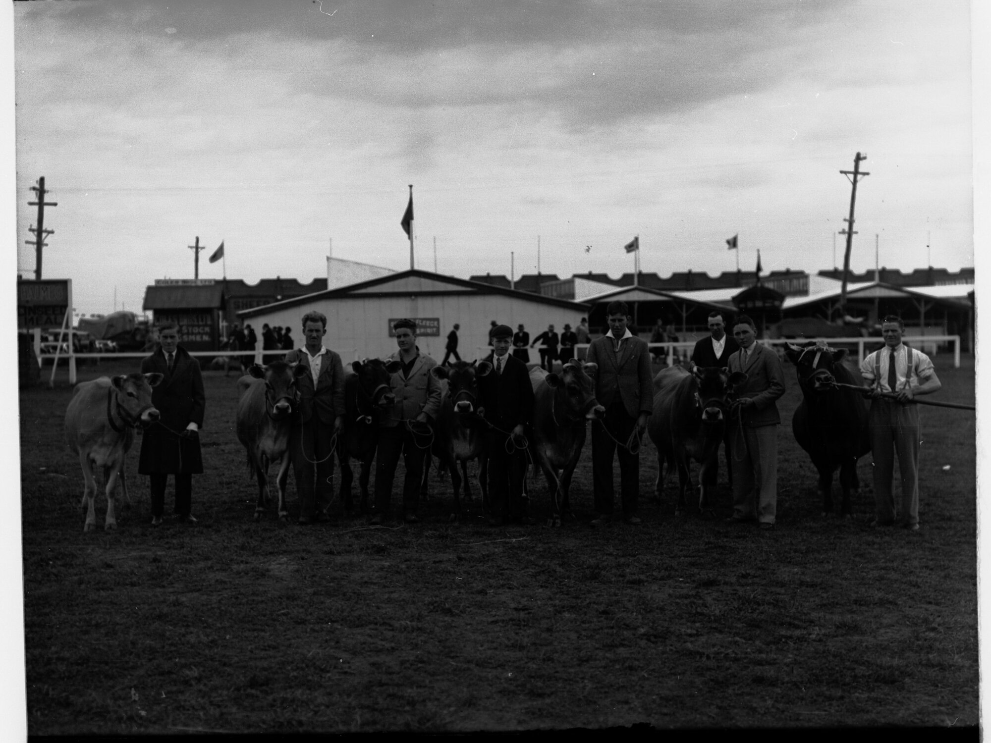 Men standing with their bulls - Royal Adelaide Show