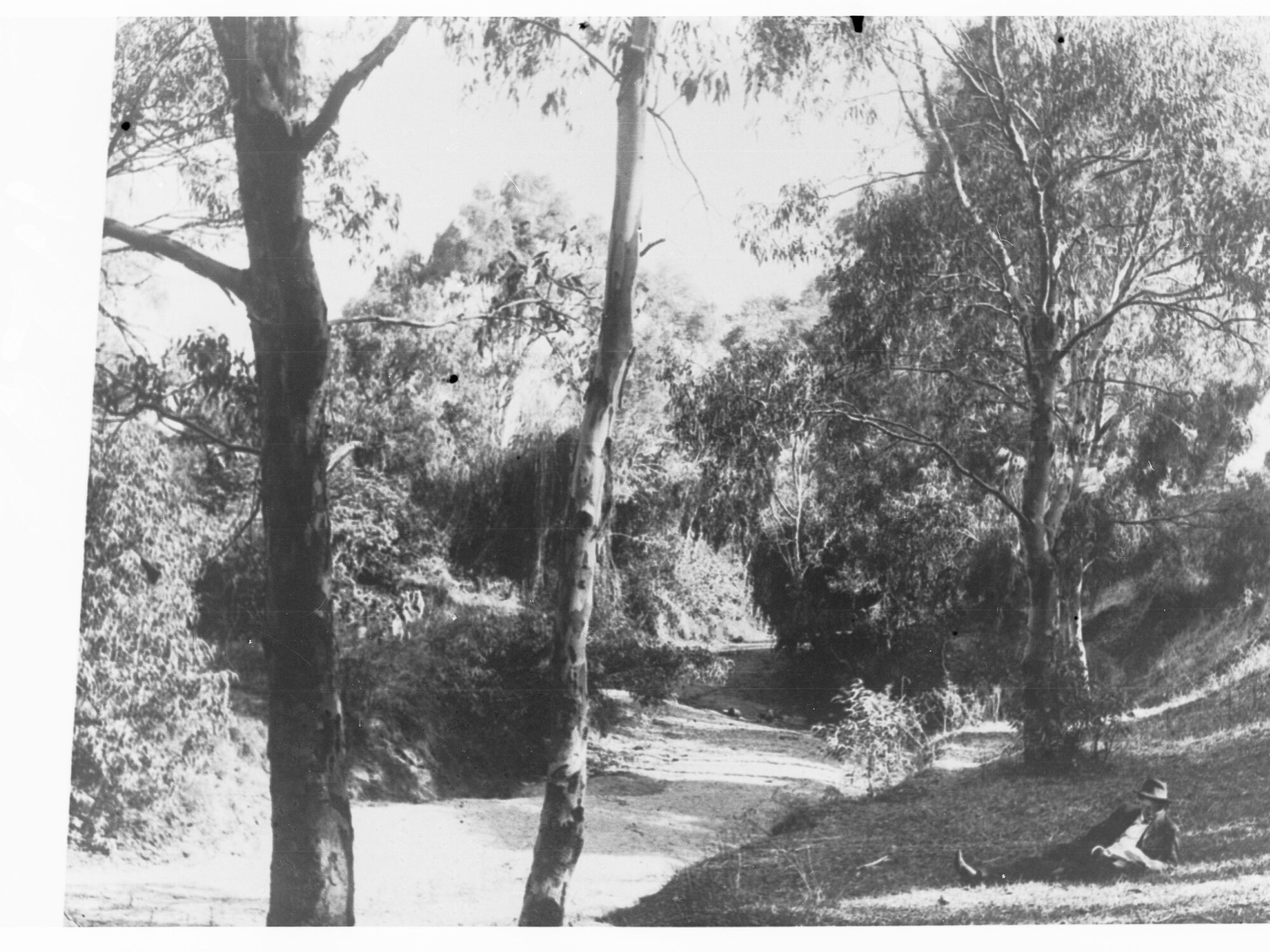 Rural view showing man laying on grass