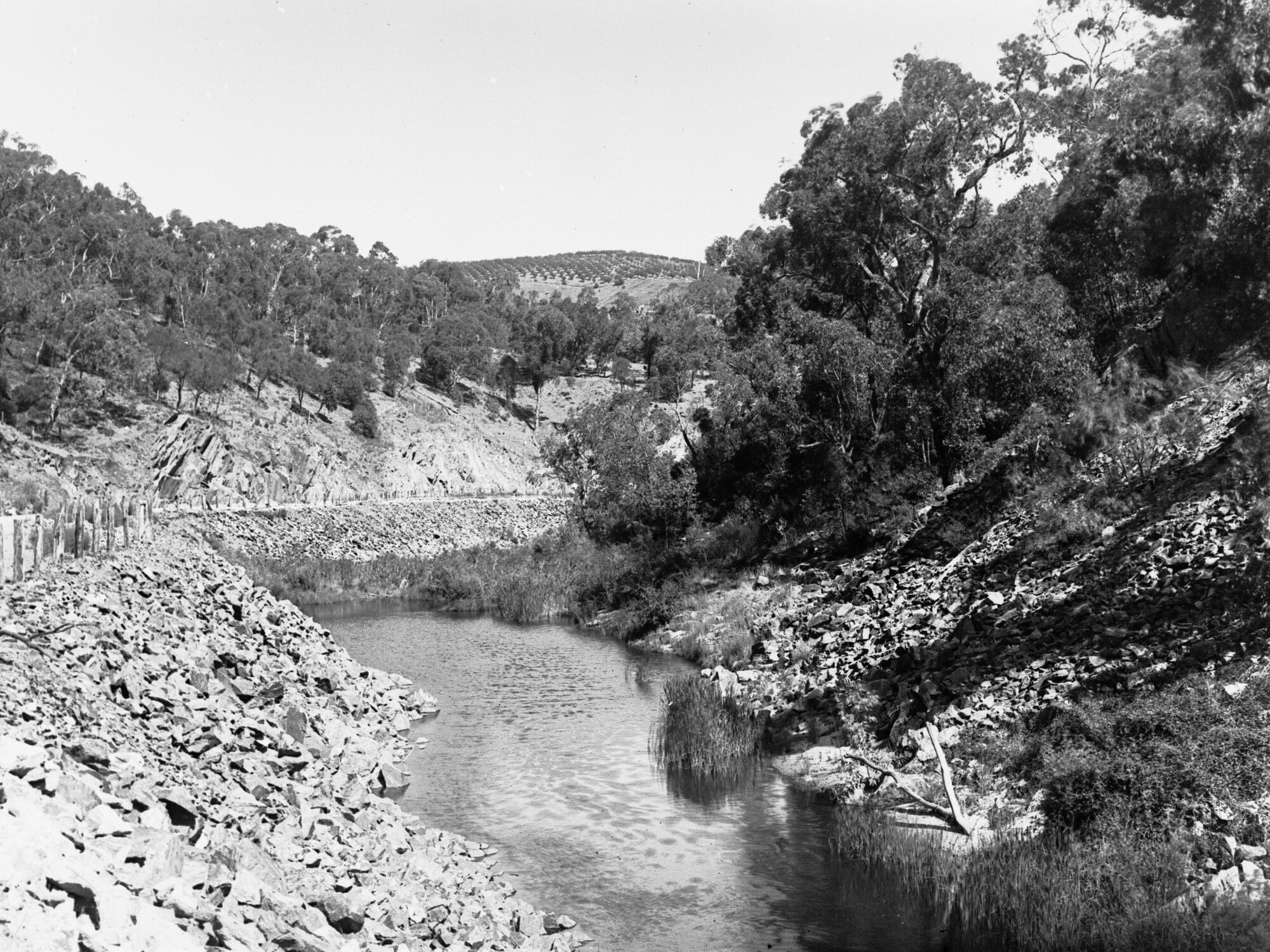 Torrens Gorge