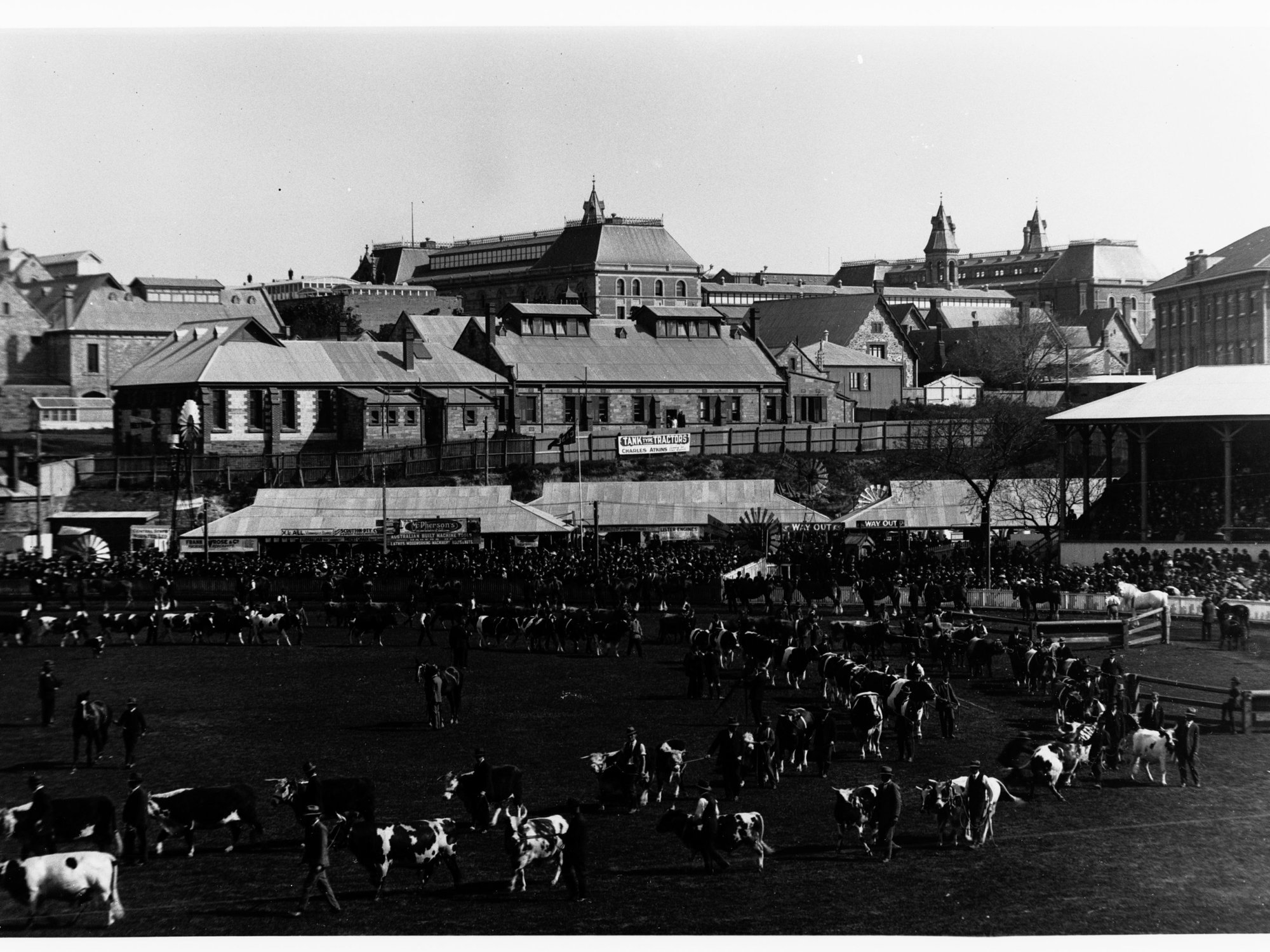 Grand Parade at the Royal Adelaide Show
