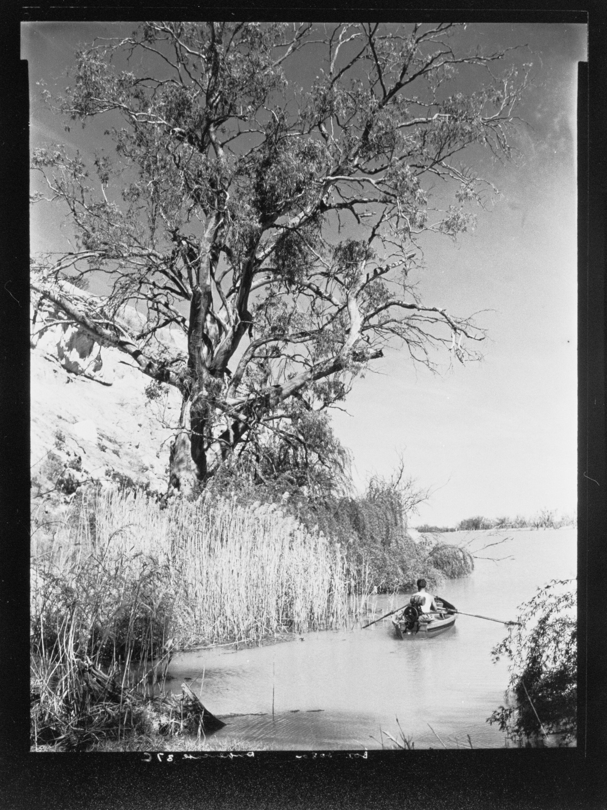 River Murray near Renmark