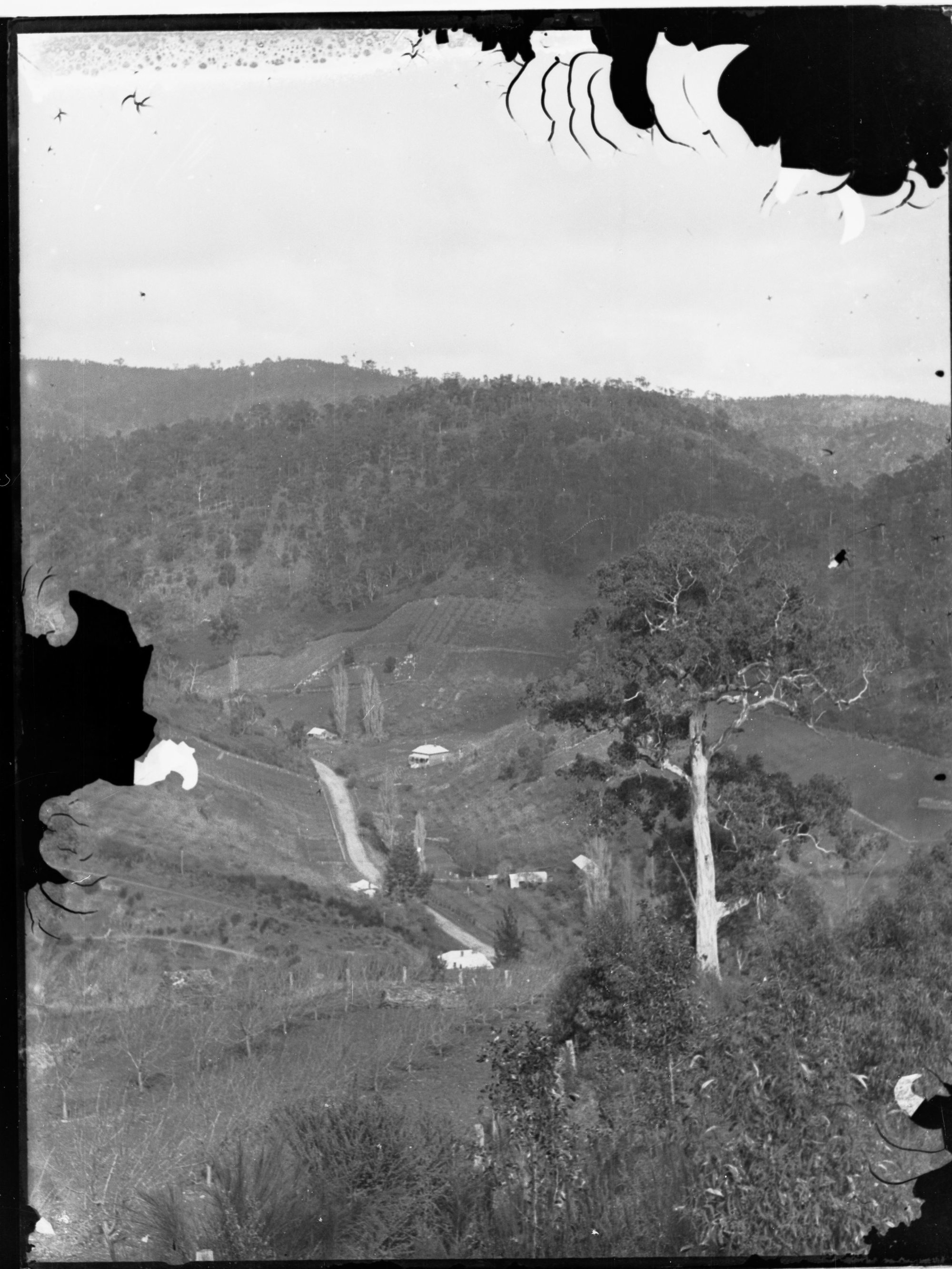 Orchards and farm houses