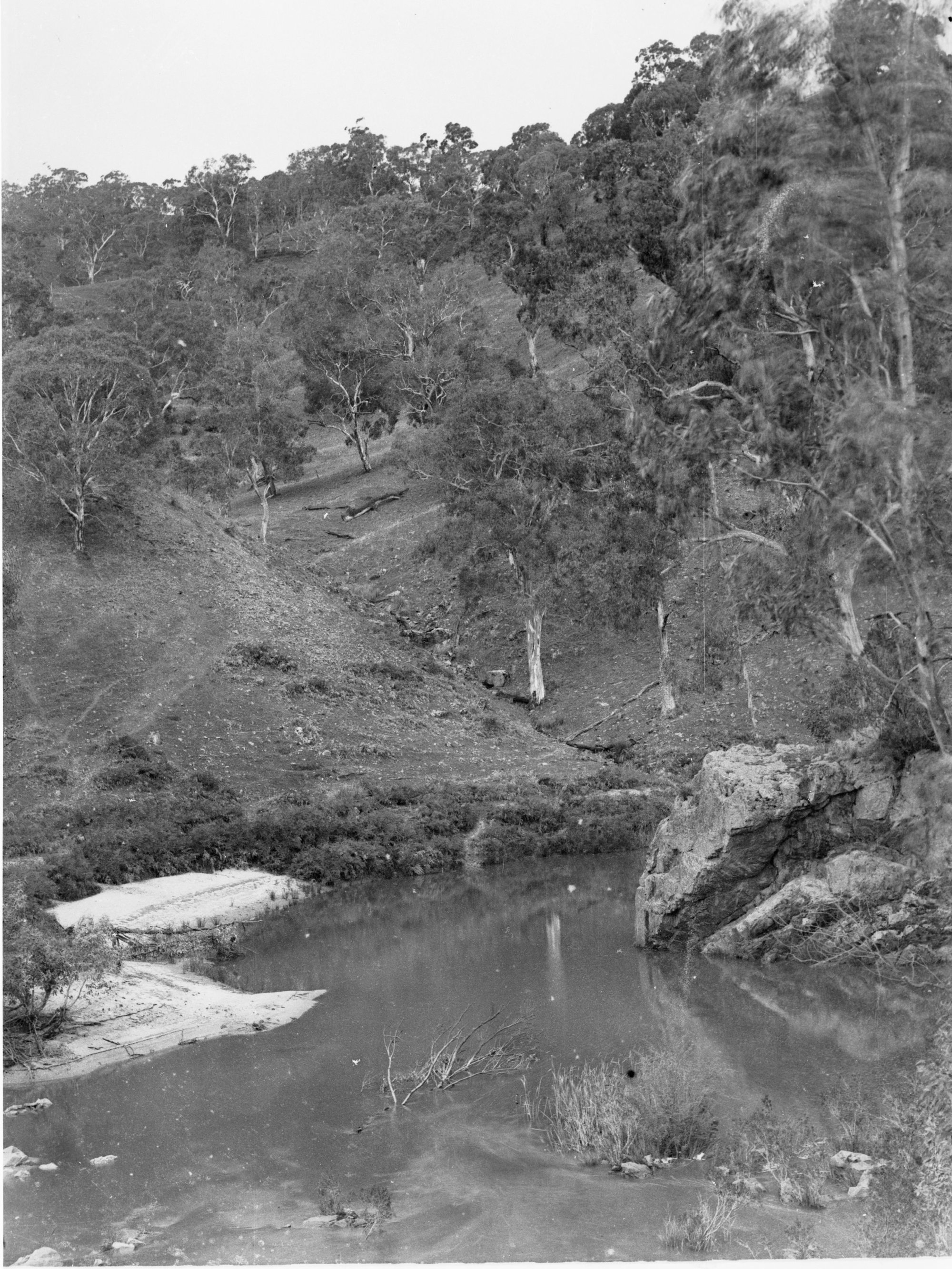 Creek in Mount Lofty ranges