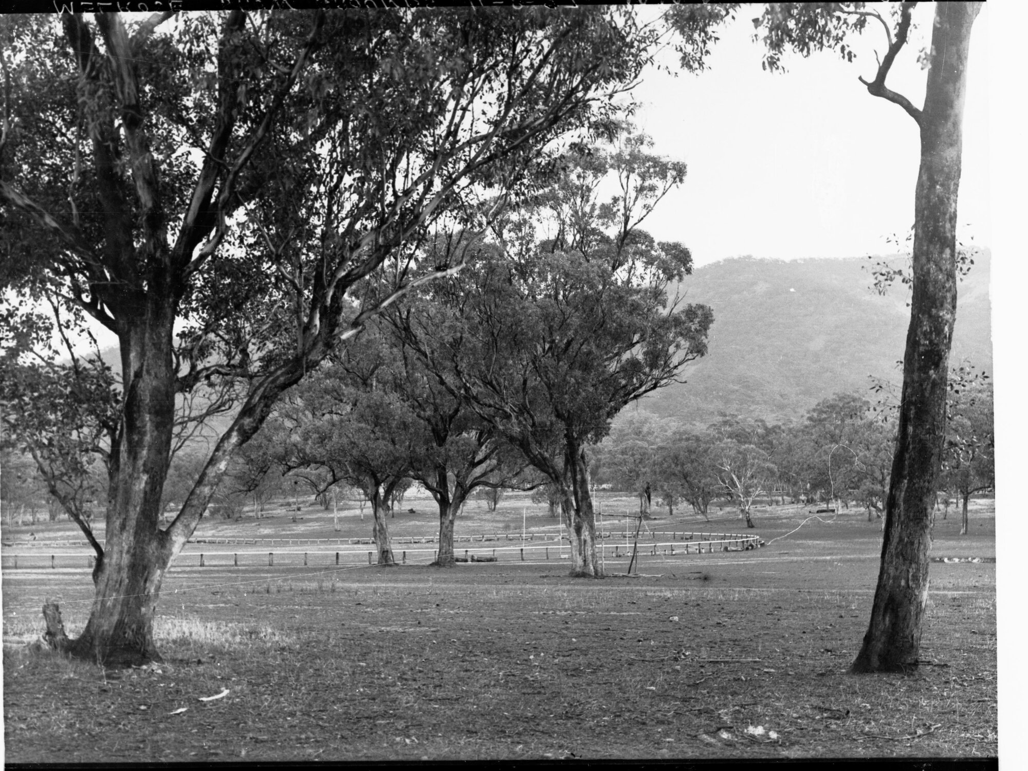 Melrose Show Grounds