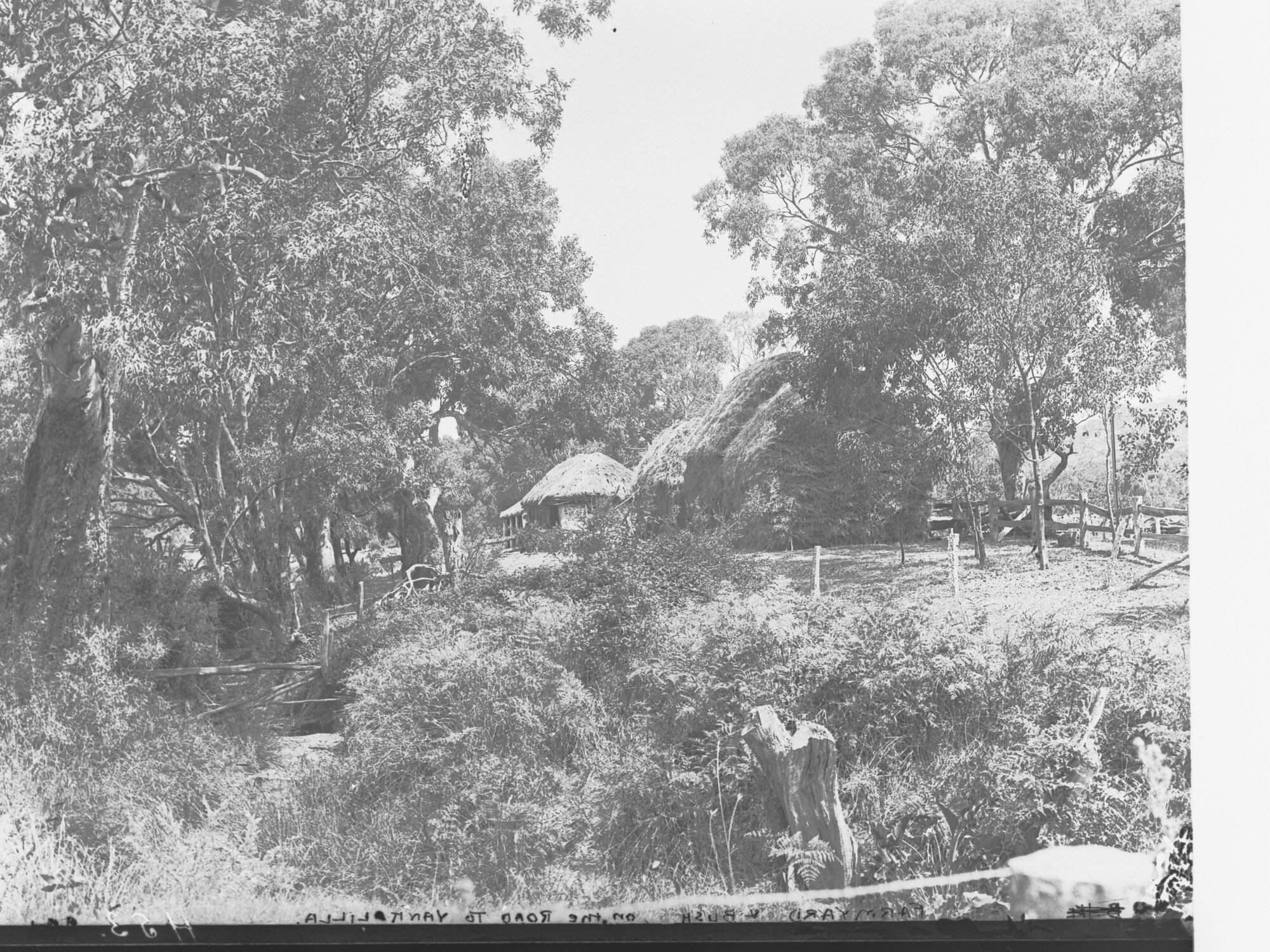 Farmland and Bush on the Road to Yankalilla