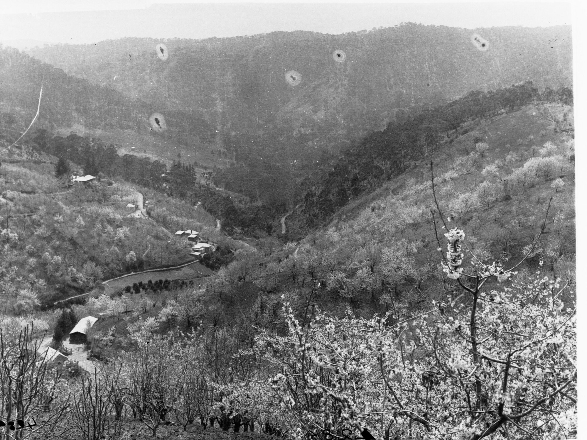 Cherryville Showing Valley and Housing