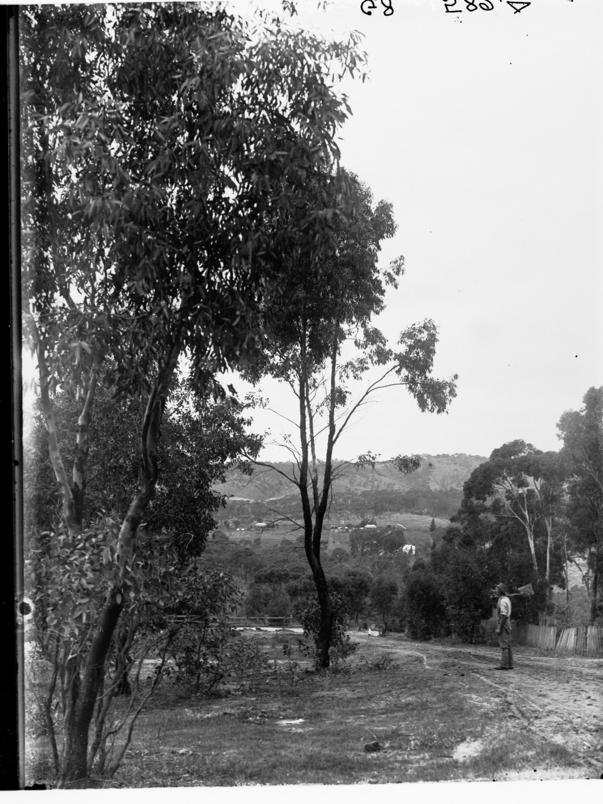 Bush View at Blackwood