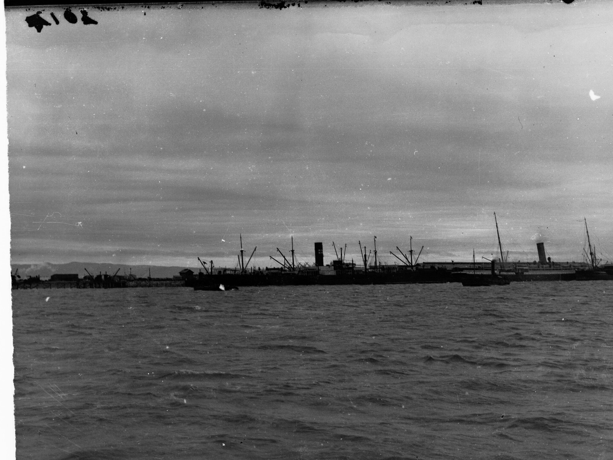 Shipping Indian remounts from Port Adelaide