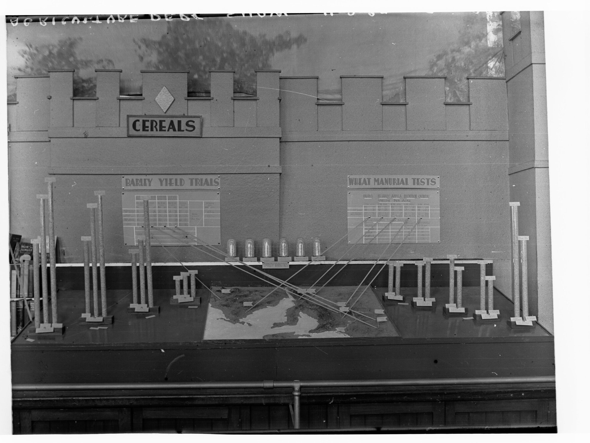 Wheat Display at Agricultural Show, Royal Adelaide Show, Wayville