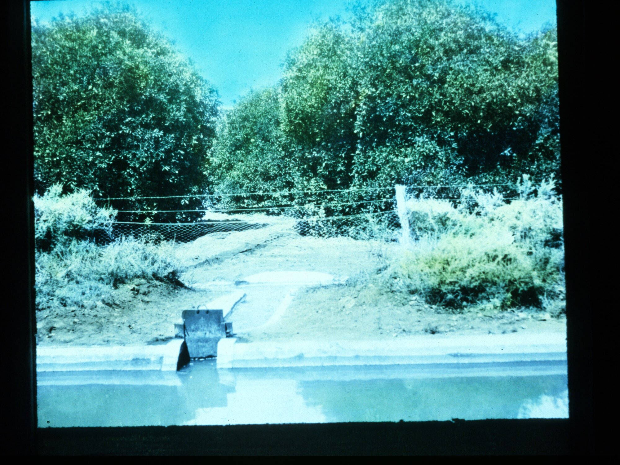 Irrigation Channel on the River Murray
