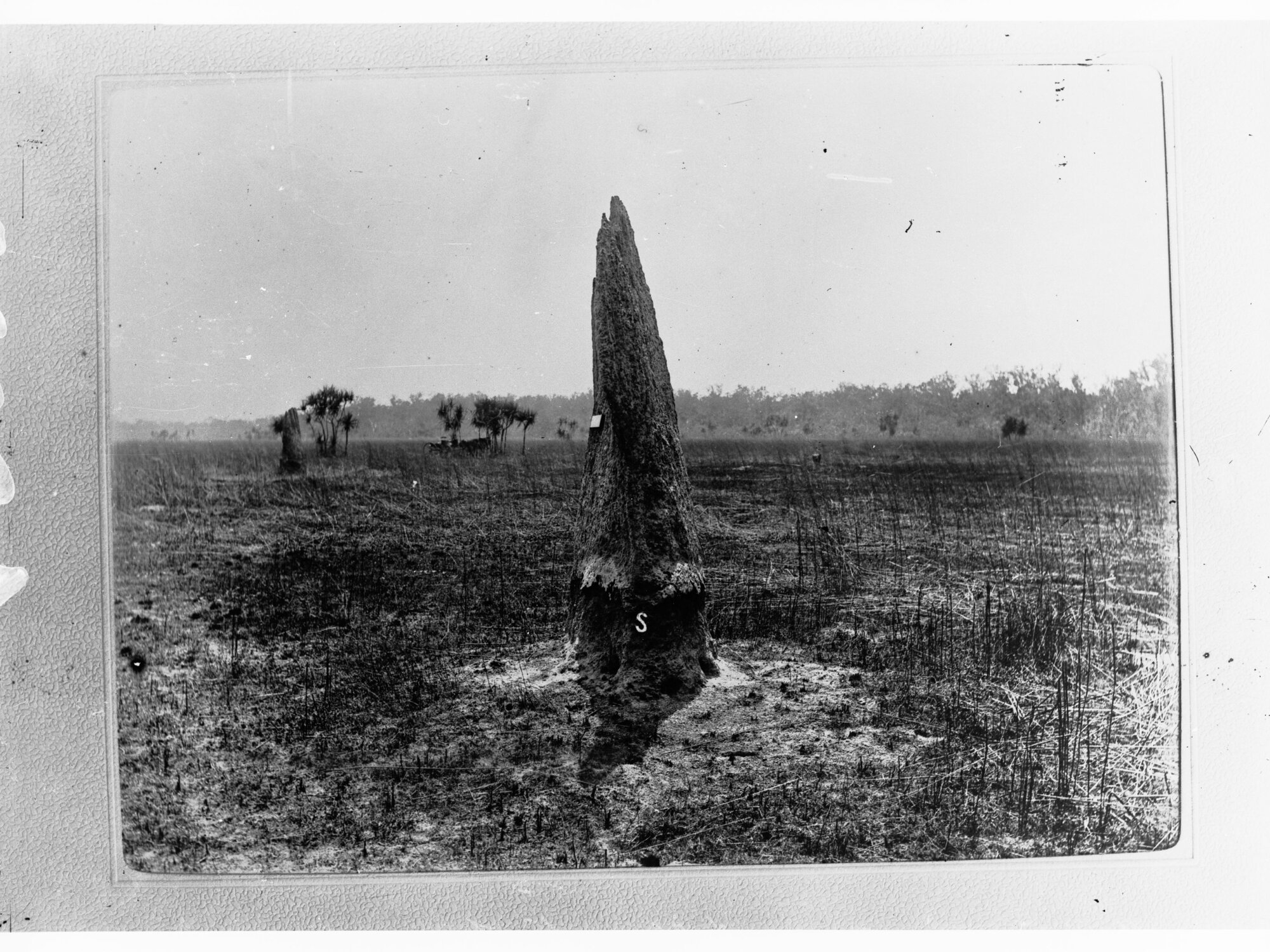 Large ant hill - Northern Territory