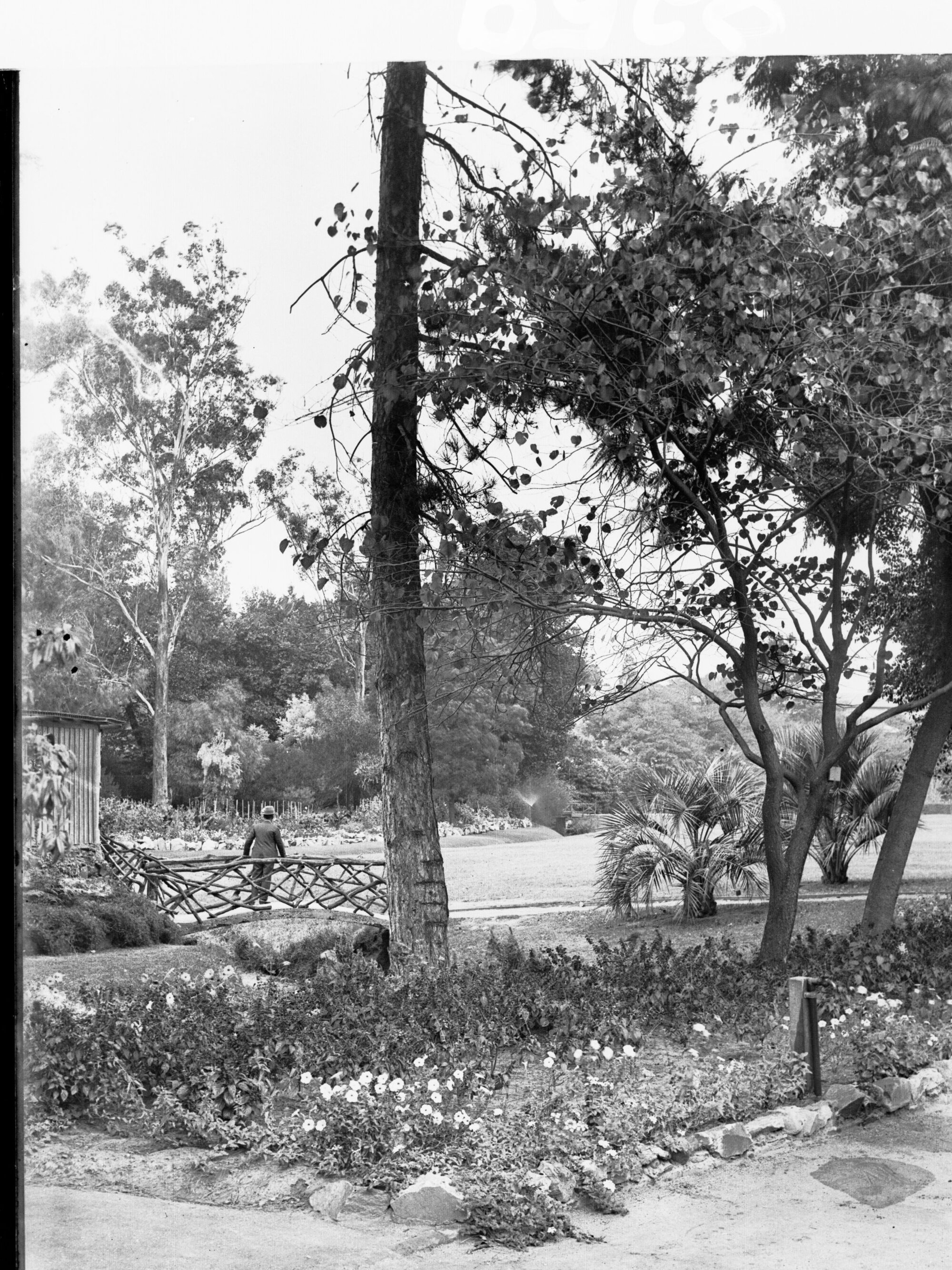 Botanic Gardens Adelaide