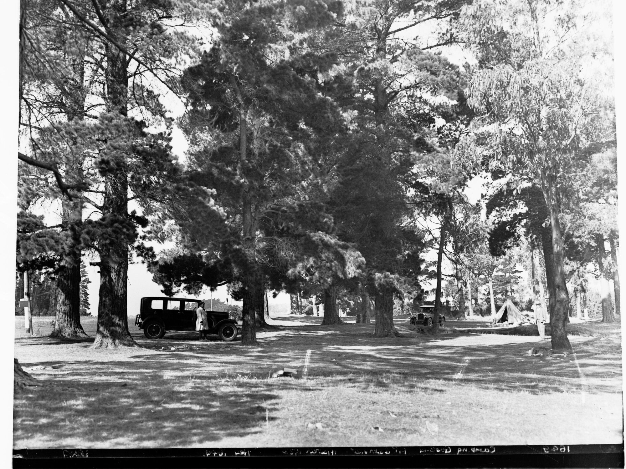 Mount Gambier Camping Ground