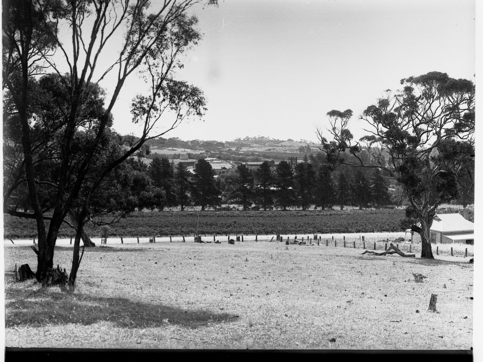 Angaston View from Yalumba Wine Cellars