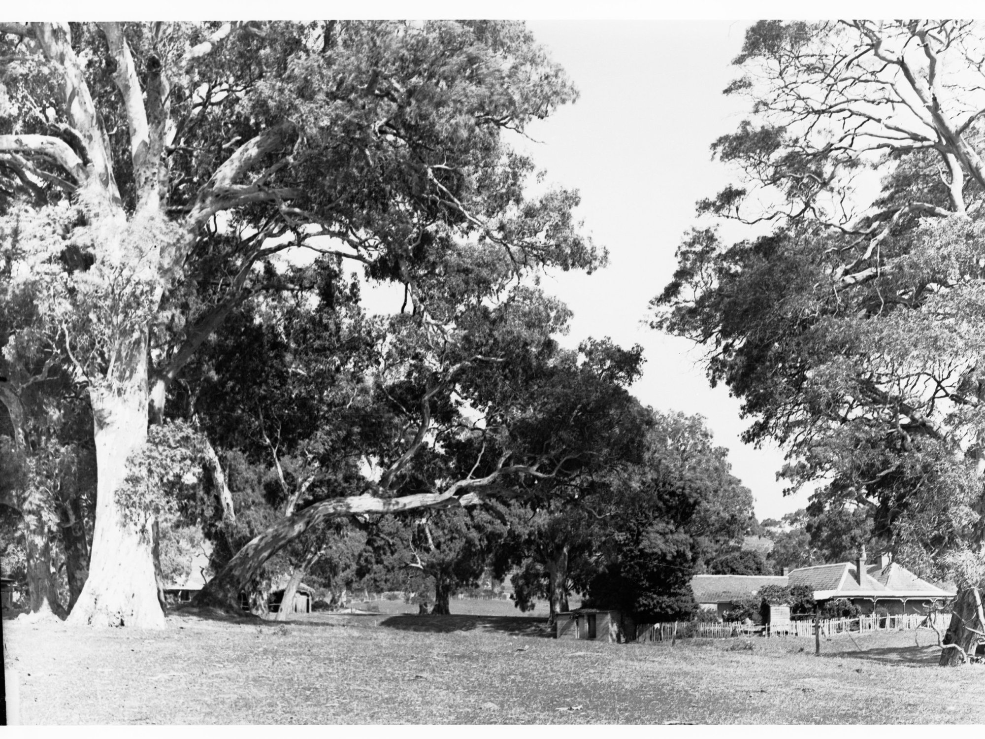 Farmhouse at Willunga