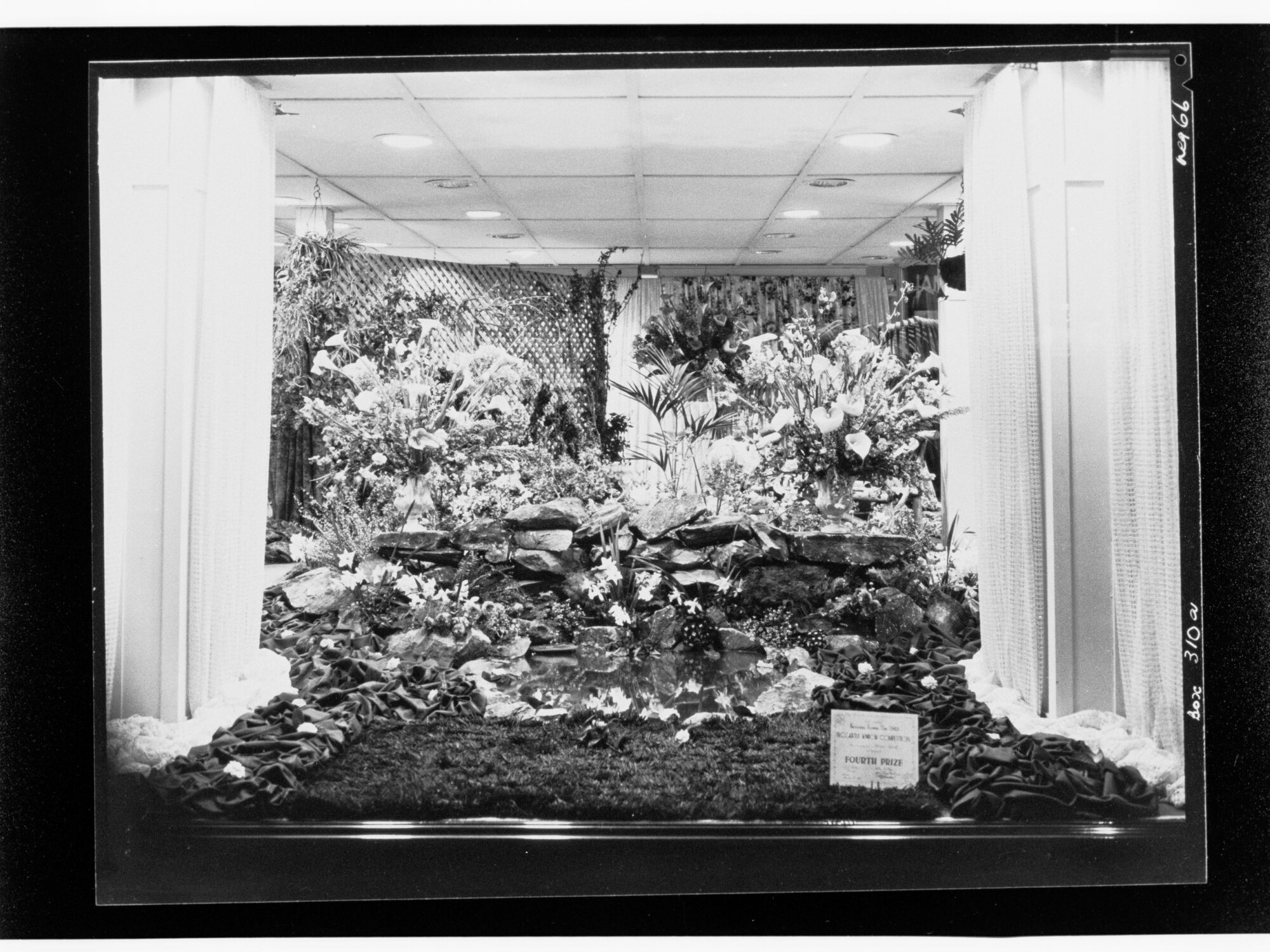 Flower day - exhibit which won fourth prize