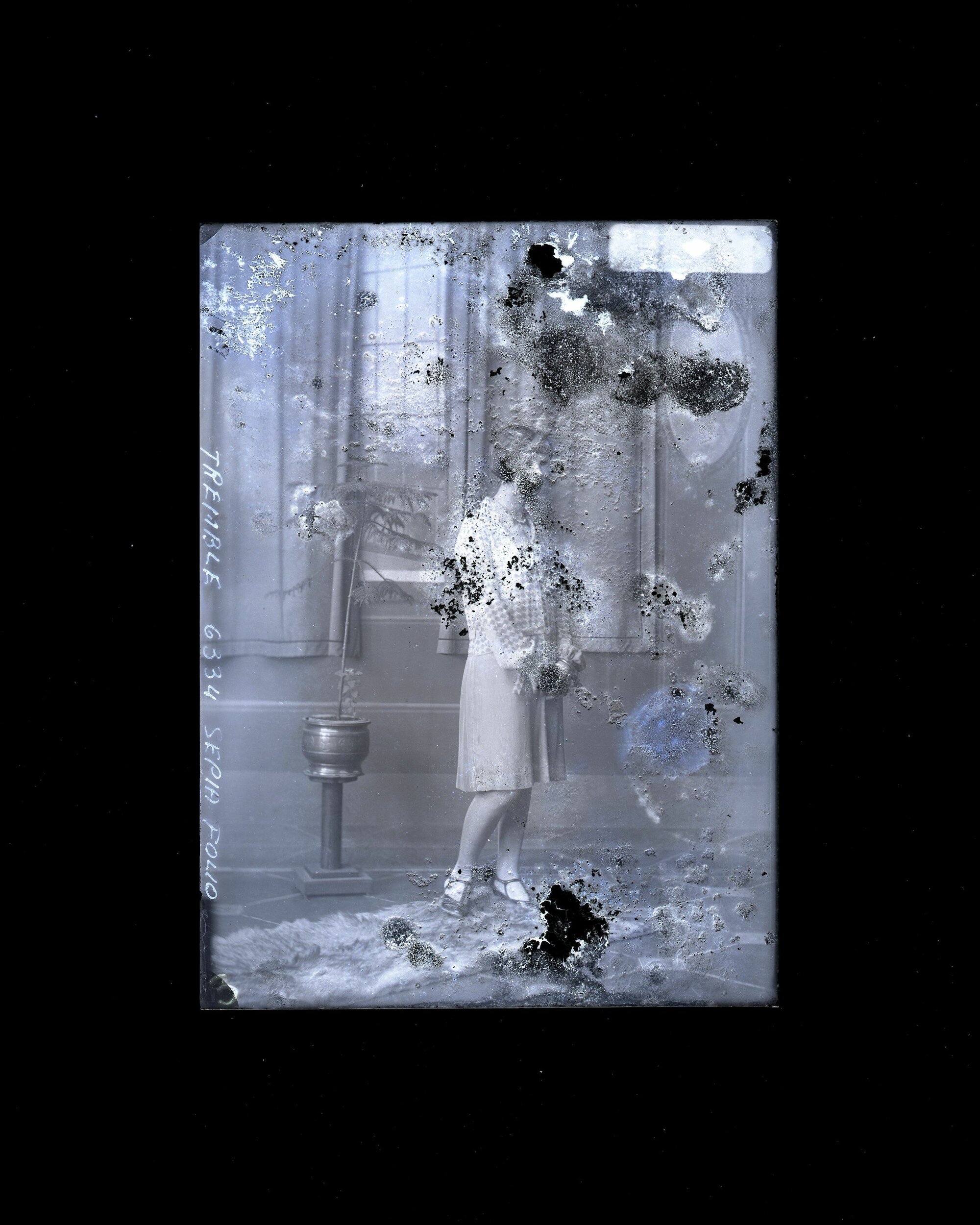 Woman - Tremble