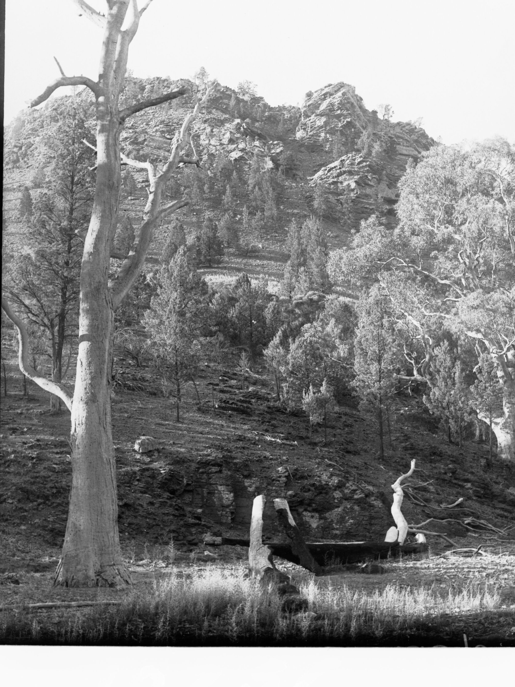 View from Owienagin Creek