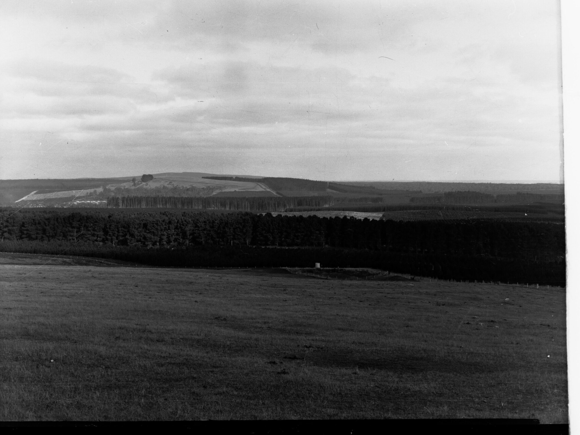 Mount Burr Woods and Forests