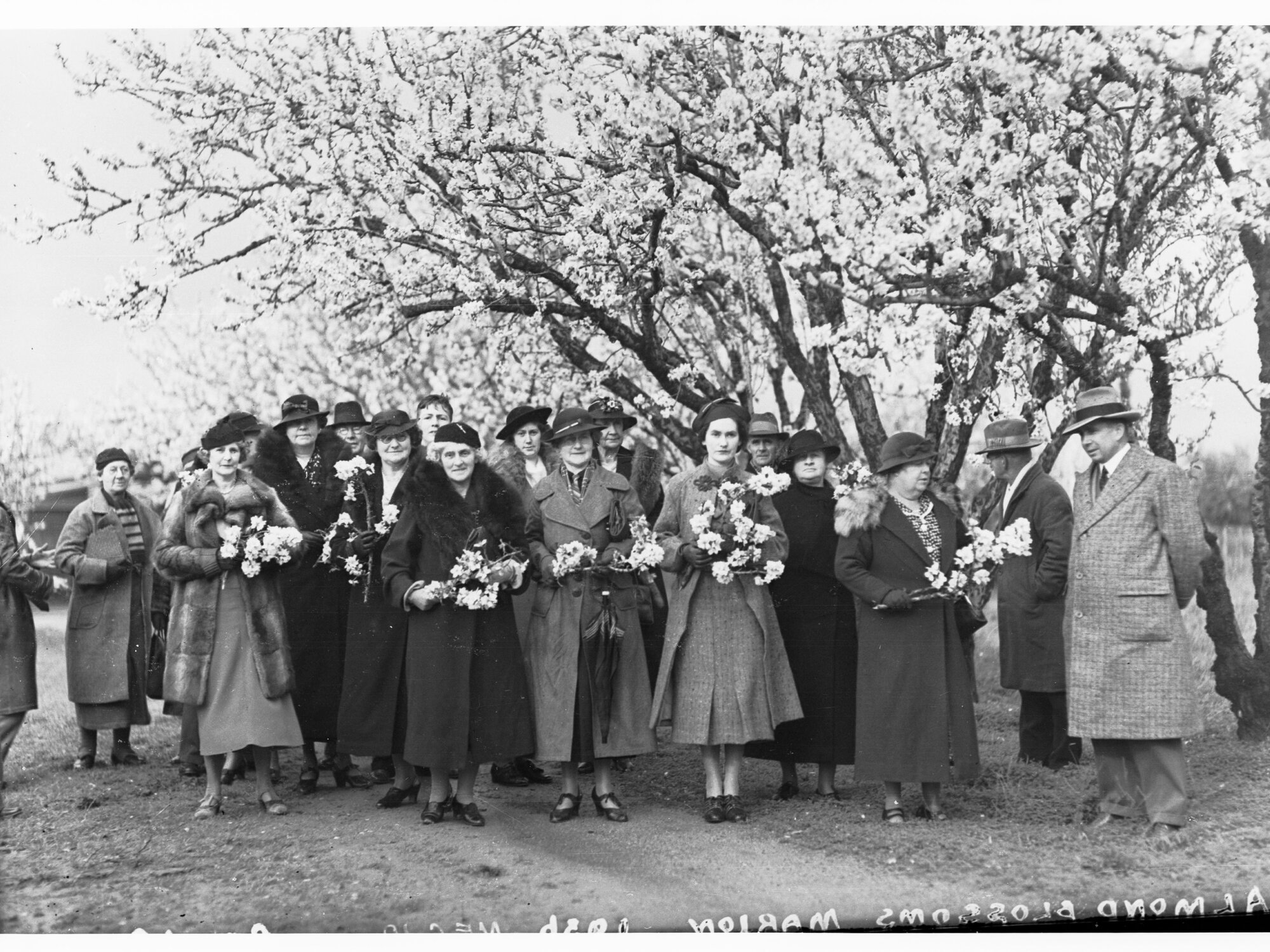 Group Among the Almond Blossoms