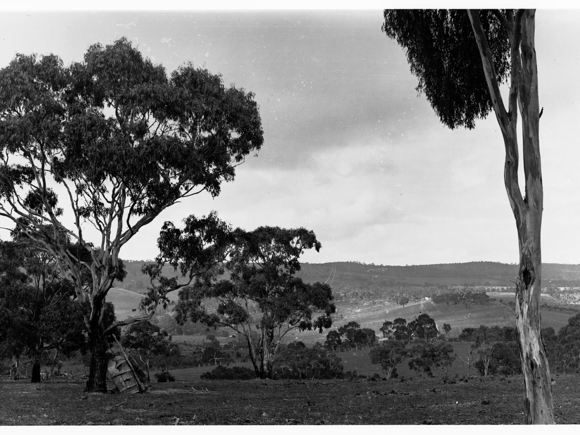Land and tree clearing at Minda Home's Craigburn Farm, c1925