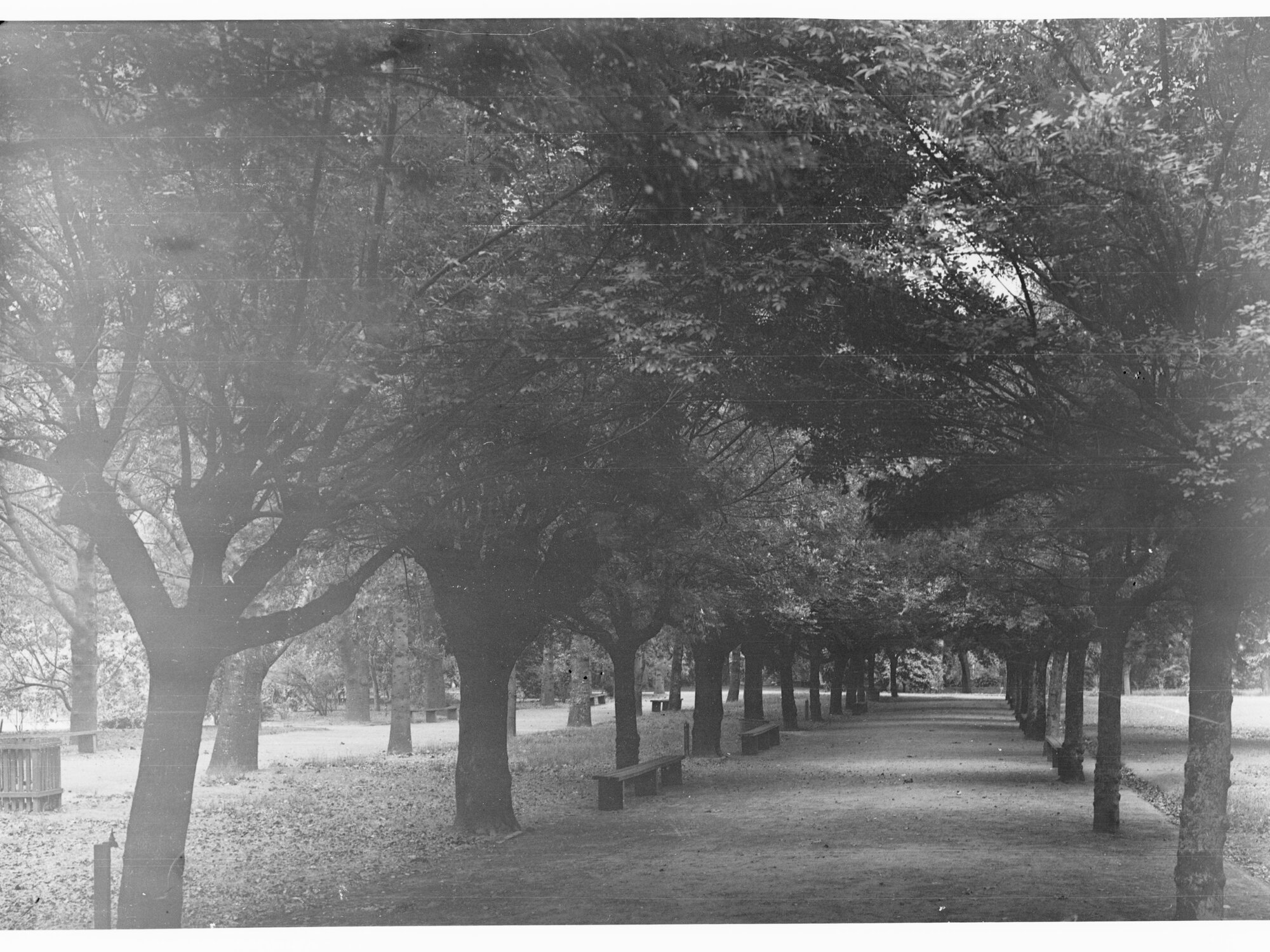 Pathway in Botanic Gardens