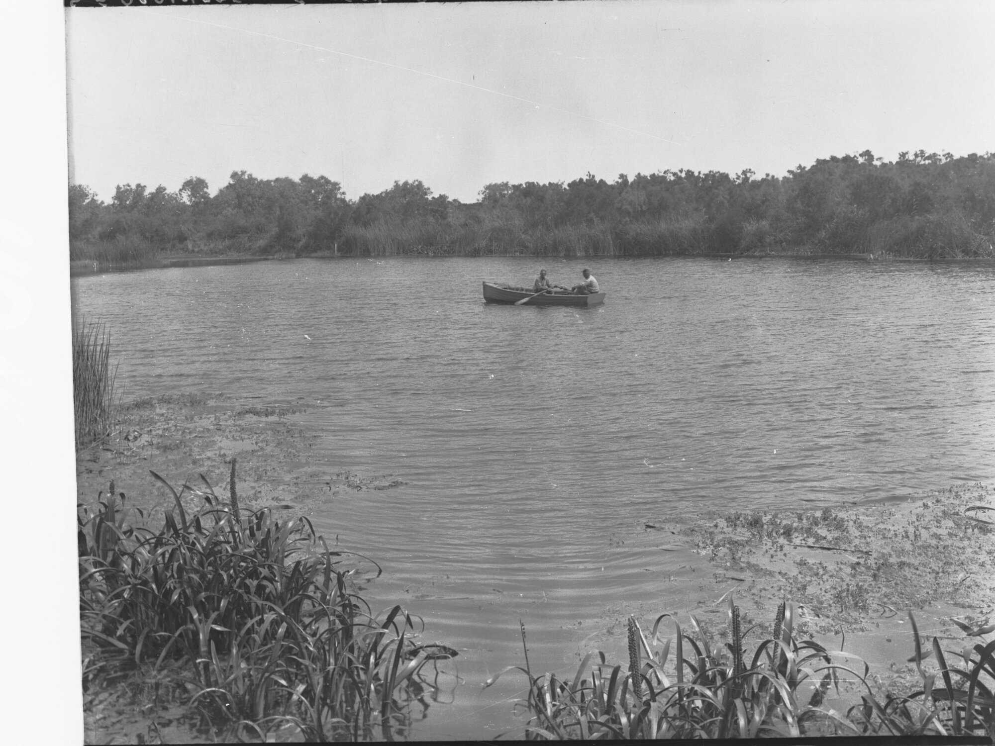 South East Drainage, Ewen Ponds showing row boat with two men