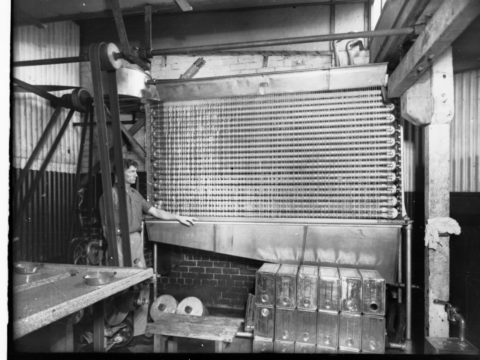 Egg pulping at national company, man by machine