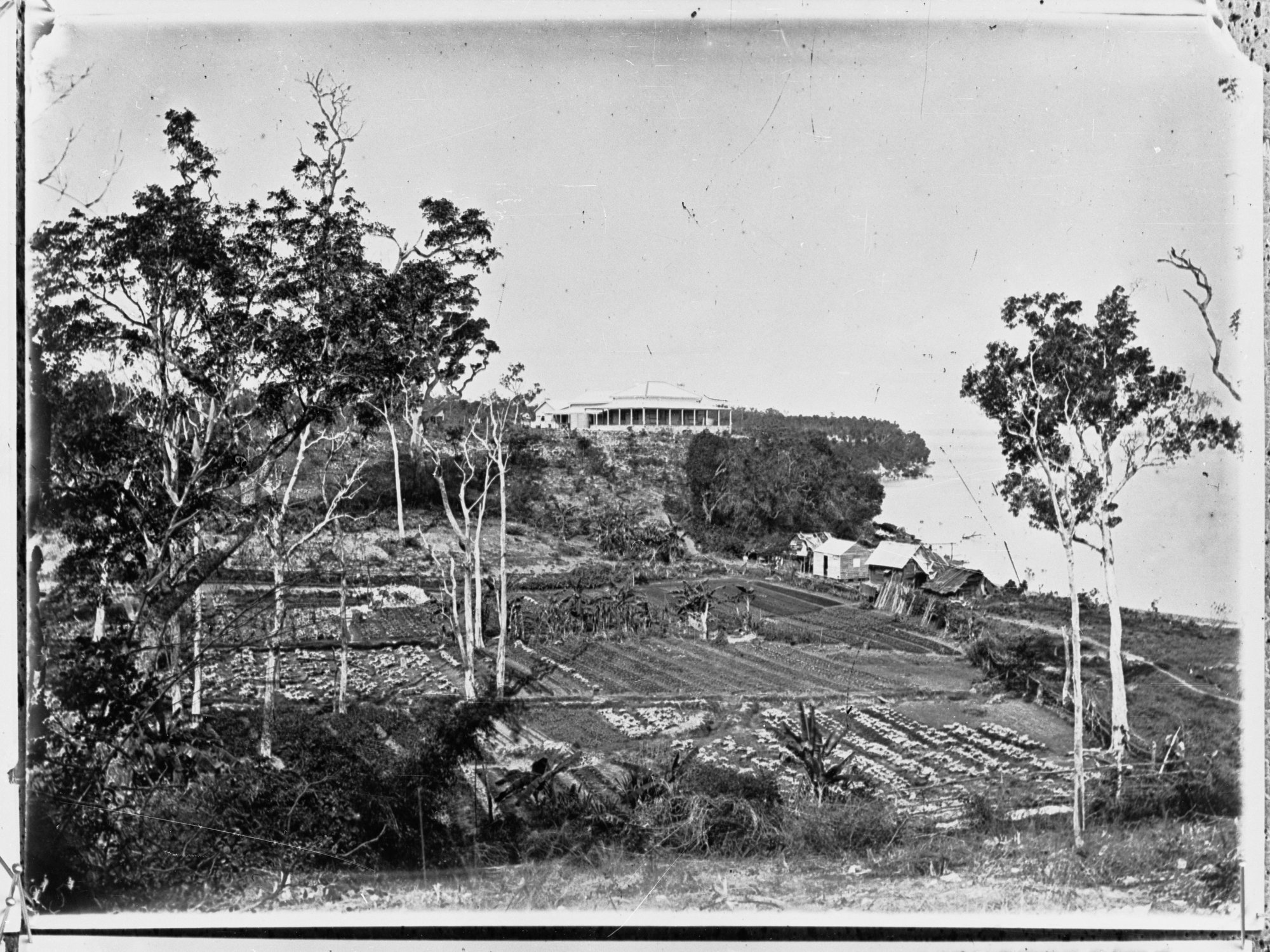 Northern Territory,  area unknown, possibly Darwin