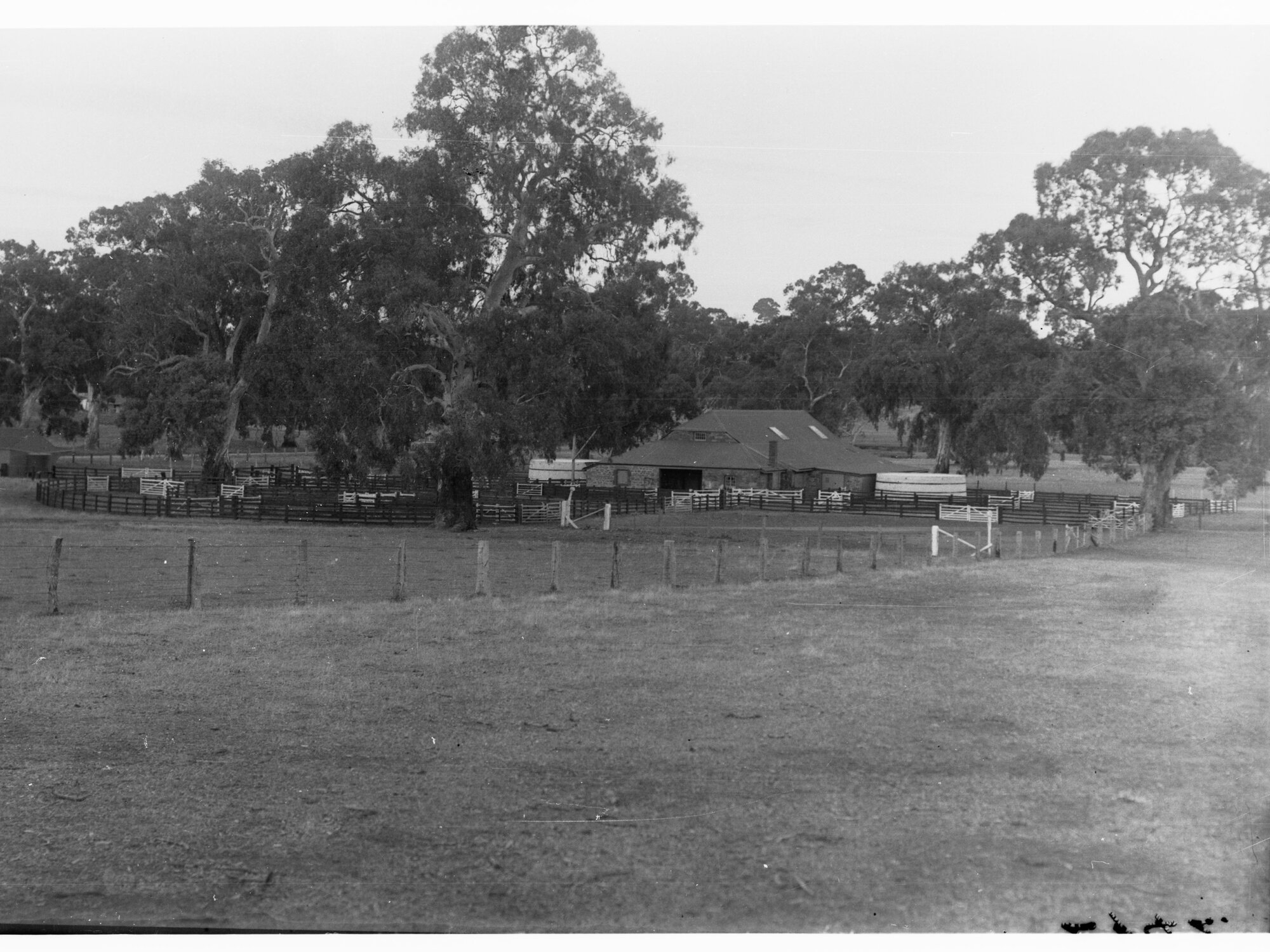Woolshed, Collingrove