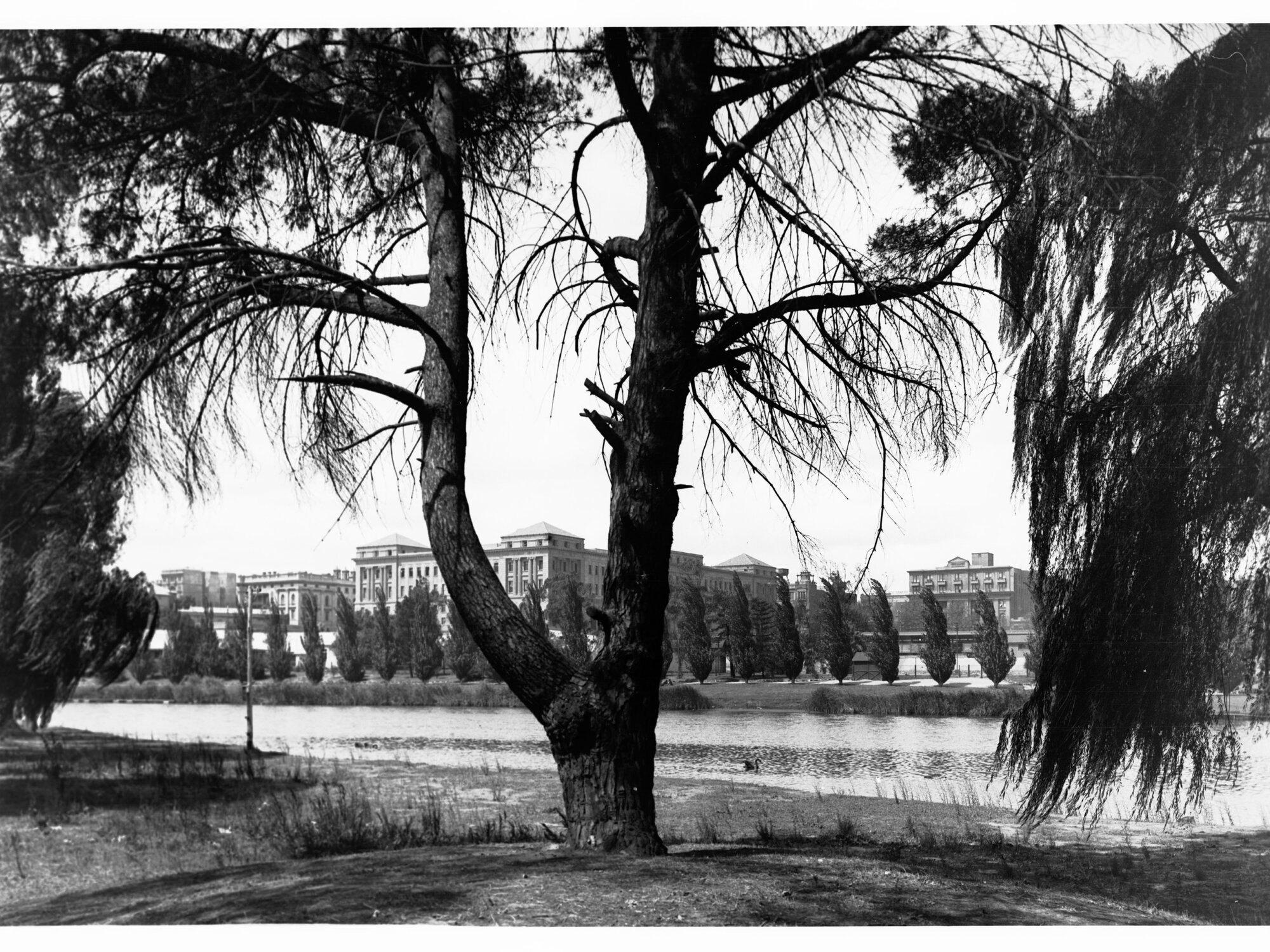 River Torrens Adelaide
