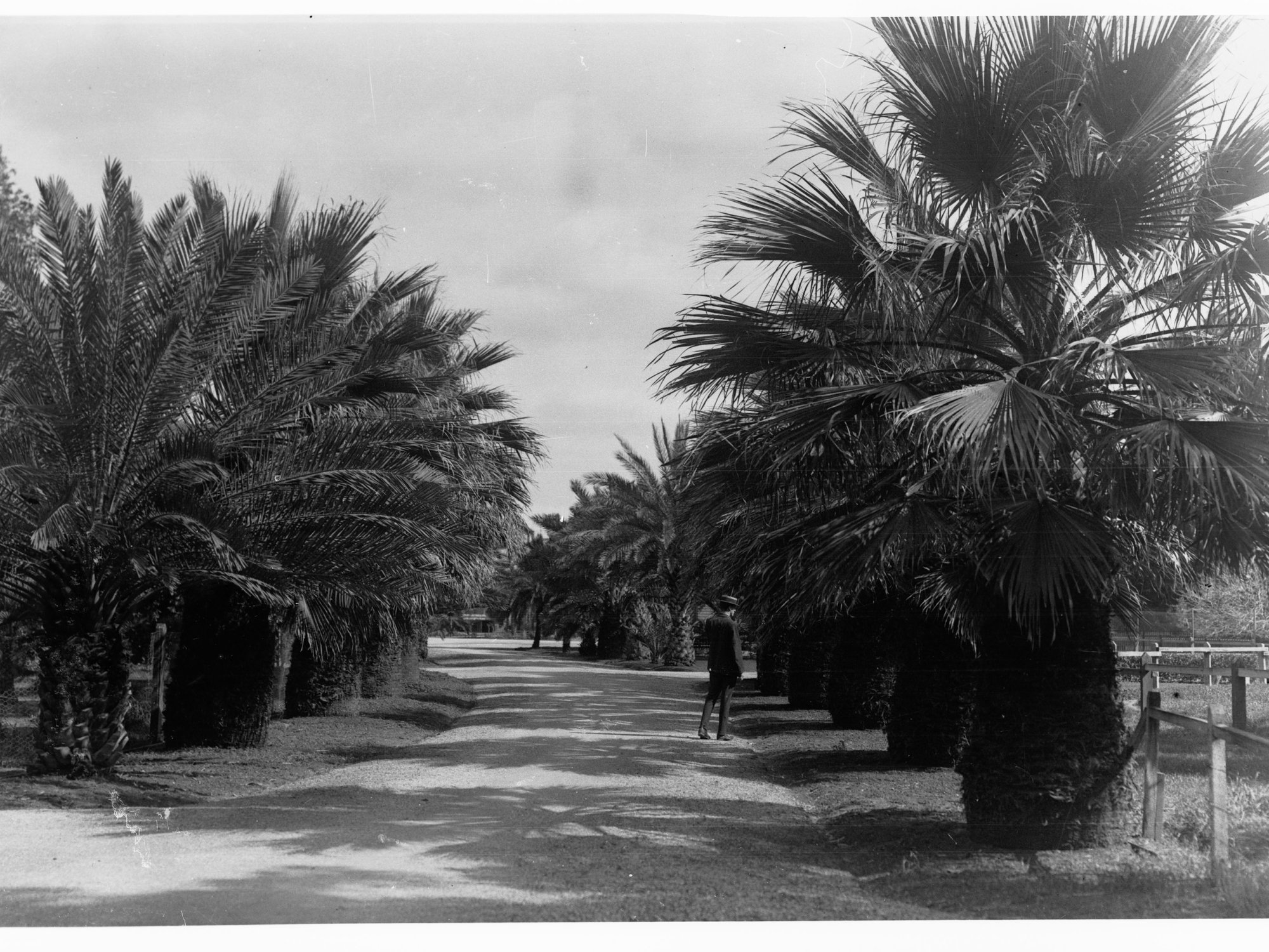 Adelaide Zoological Gardens