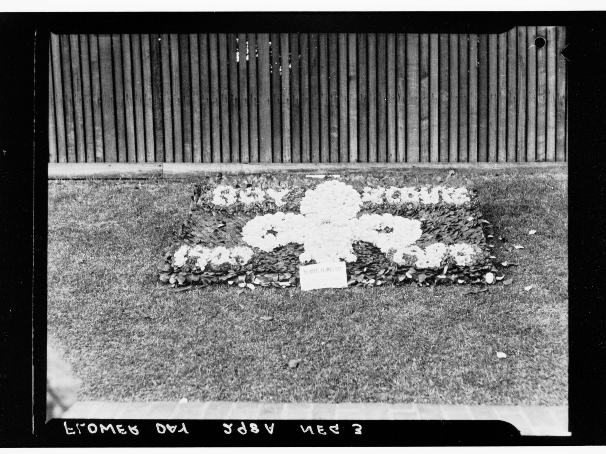 Flower Day - one of the exhibits