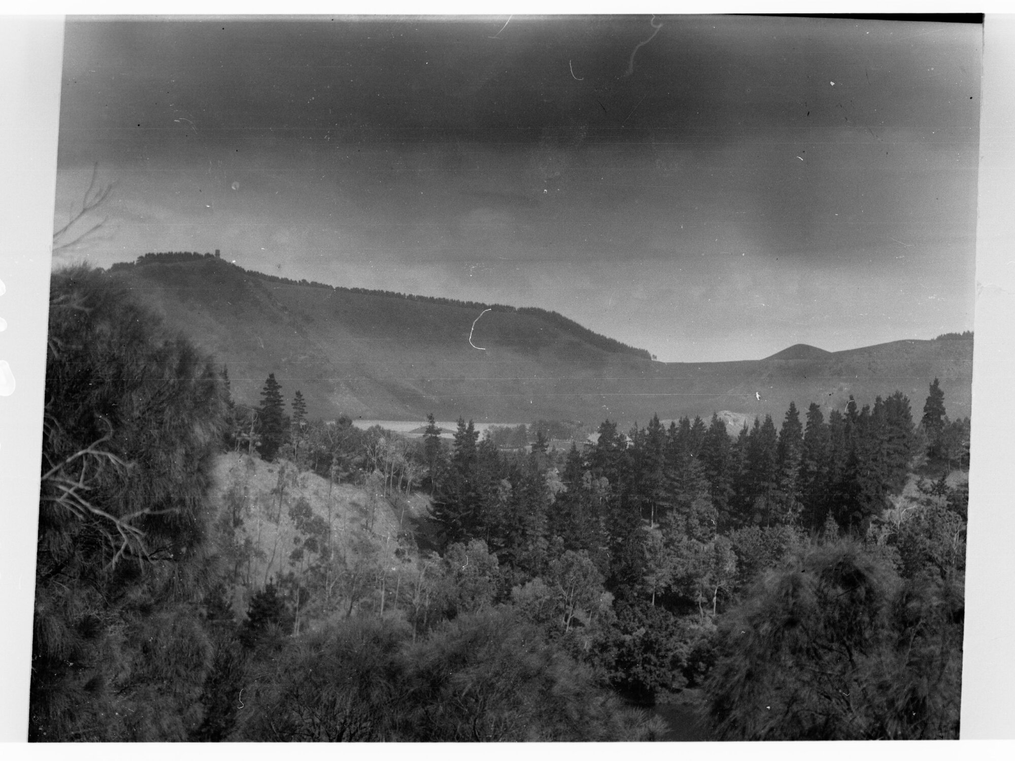 Rural scene overlooking forest - Mount Gambier