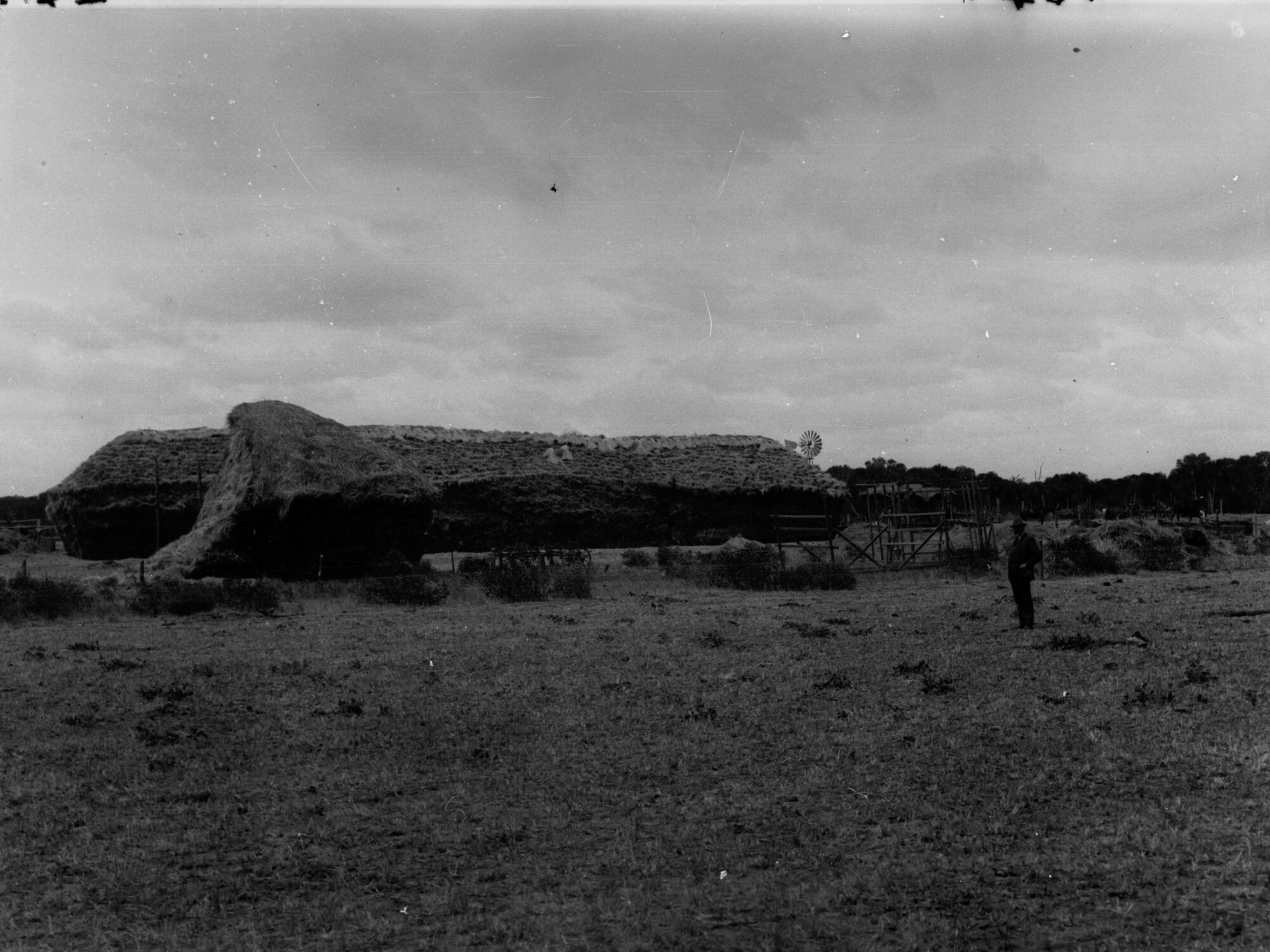 Pinnaroo hay stacks